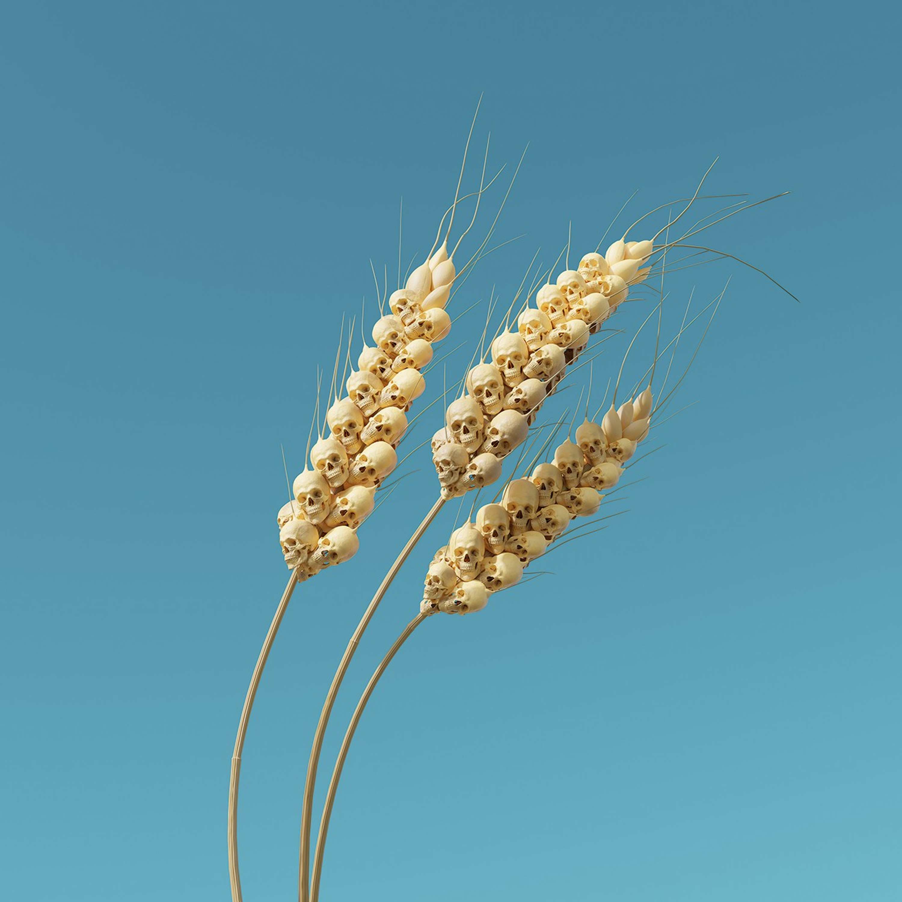 The coming food catastrophe. by Ricardo Rey