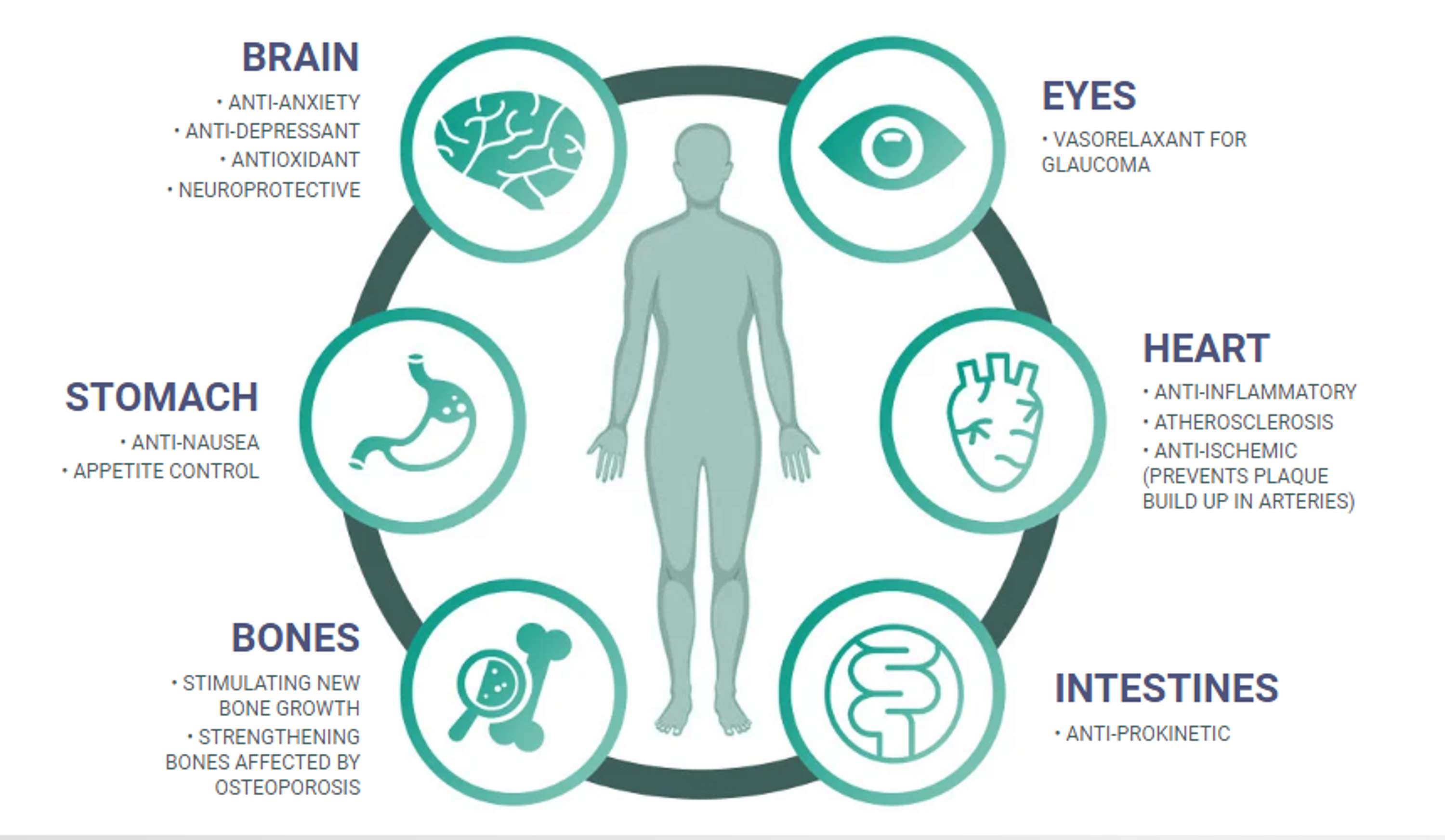 Aldi CBD Gummies Stress Healing Gummies Works? Read Reviews First by Ashwani Rajput