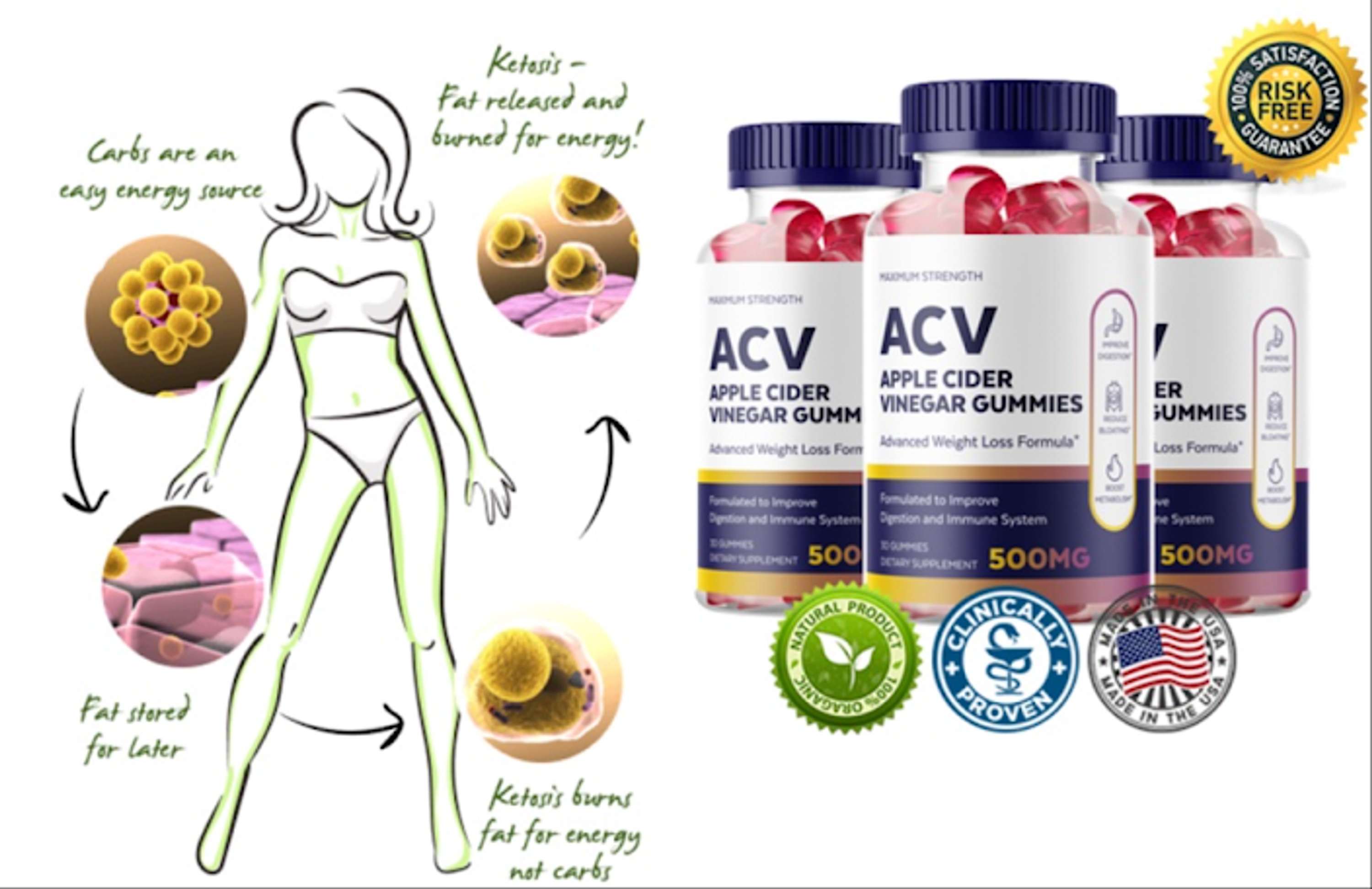 Biologic Trim Keto ACV Gummies: WORK OR HOAX? Read This, Price, Offer by manner soob