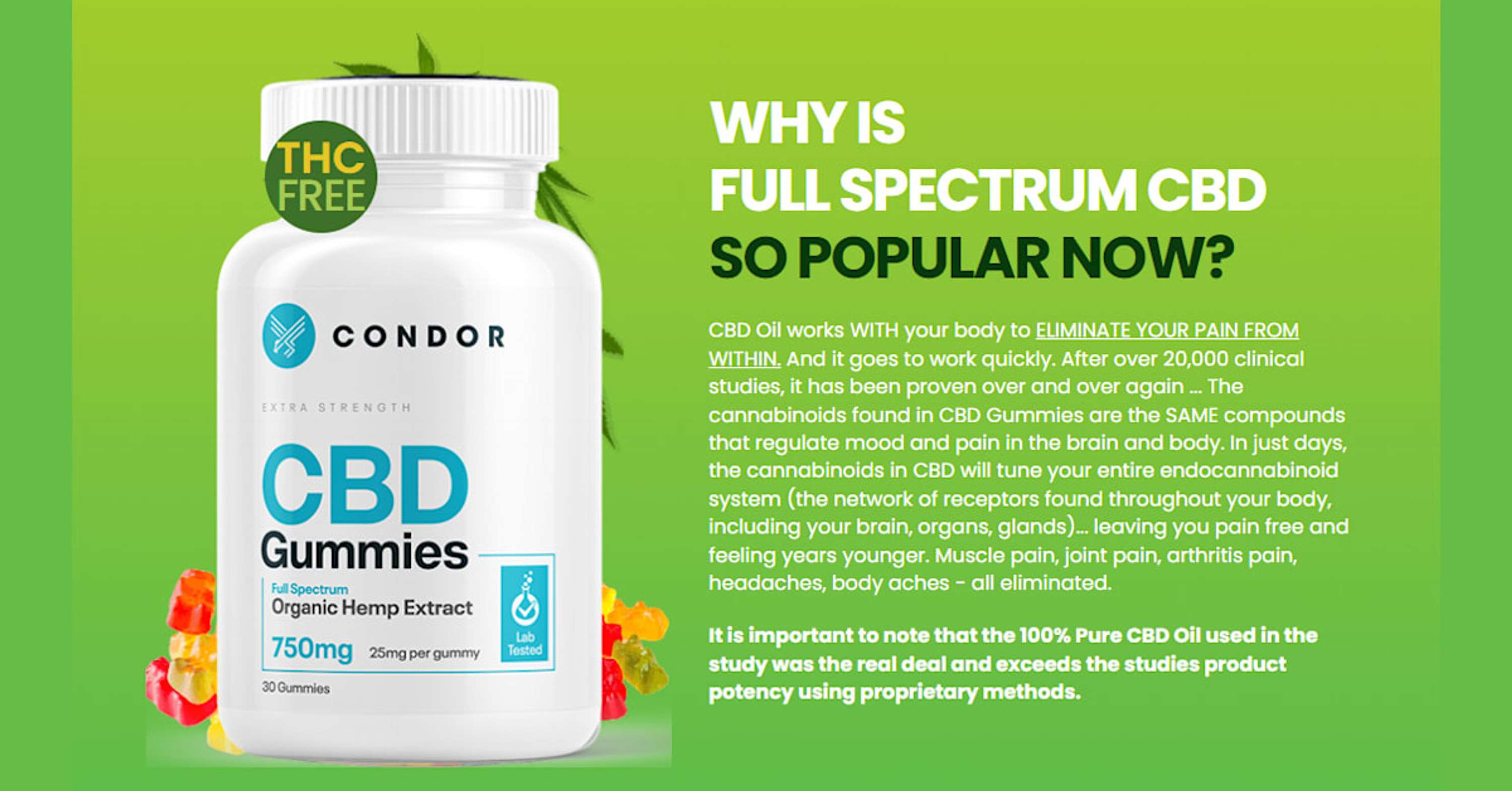 Condor CBD Gummies Reviews – Relax And Refresh With Natural CBD! by Condor CBD Gummies