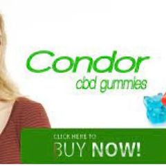 condorcbd gummiesus