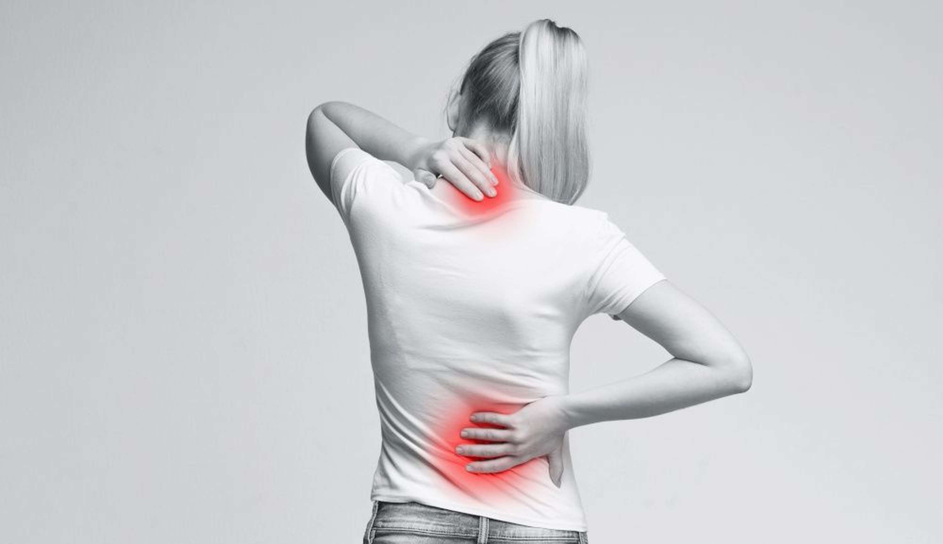 Erick Canale CBD Gummies reduce all pain *health wellness*Gummy by bety adist