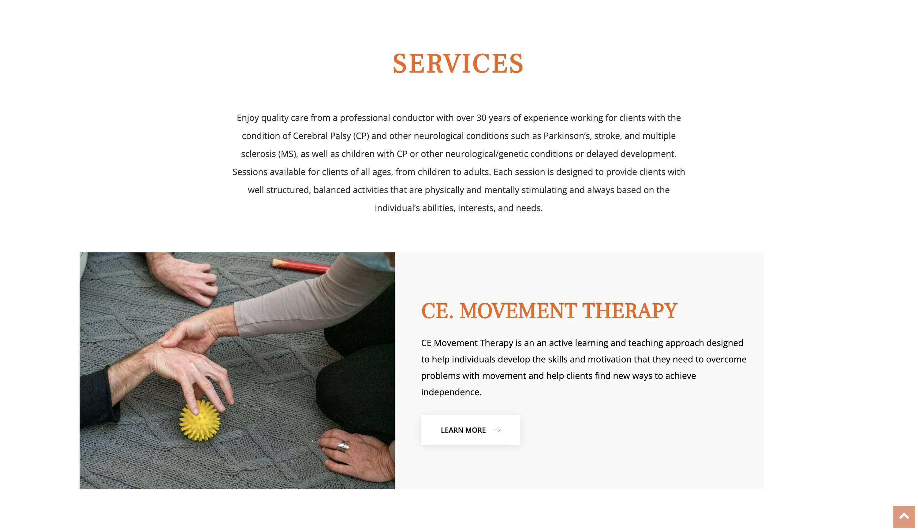 Web Design and Content Creation for Judit Molnar by Cassandra Kosmayer