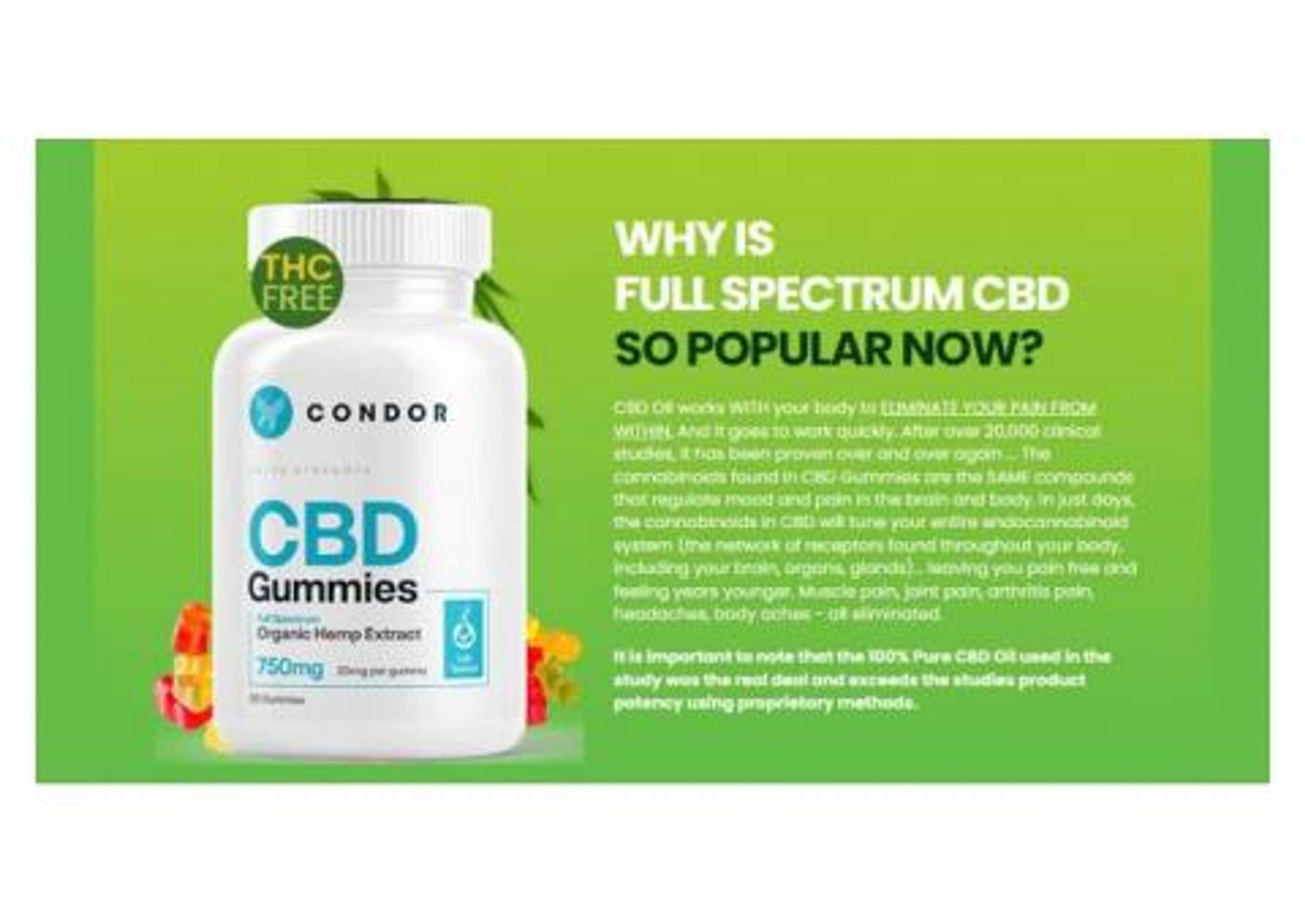 CONDOR CBD GUMMIES SHARK TANK Smackdown! by Condor SharkTank
