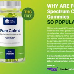 Pure Calms CBD