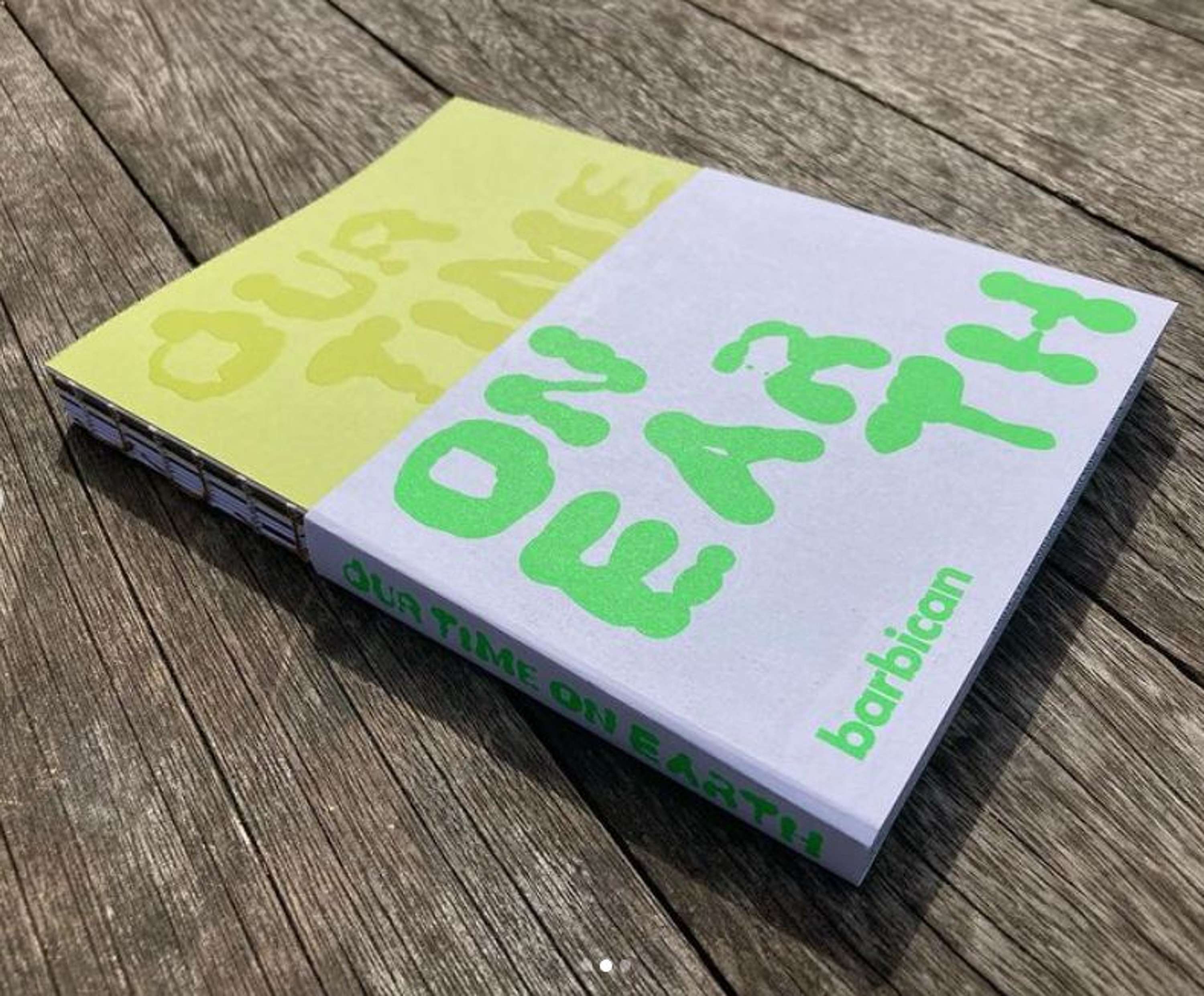 Our Time on Earth by Arthur Stitt