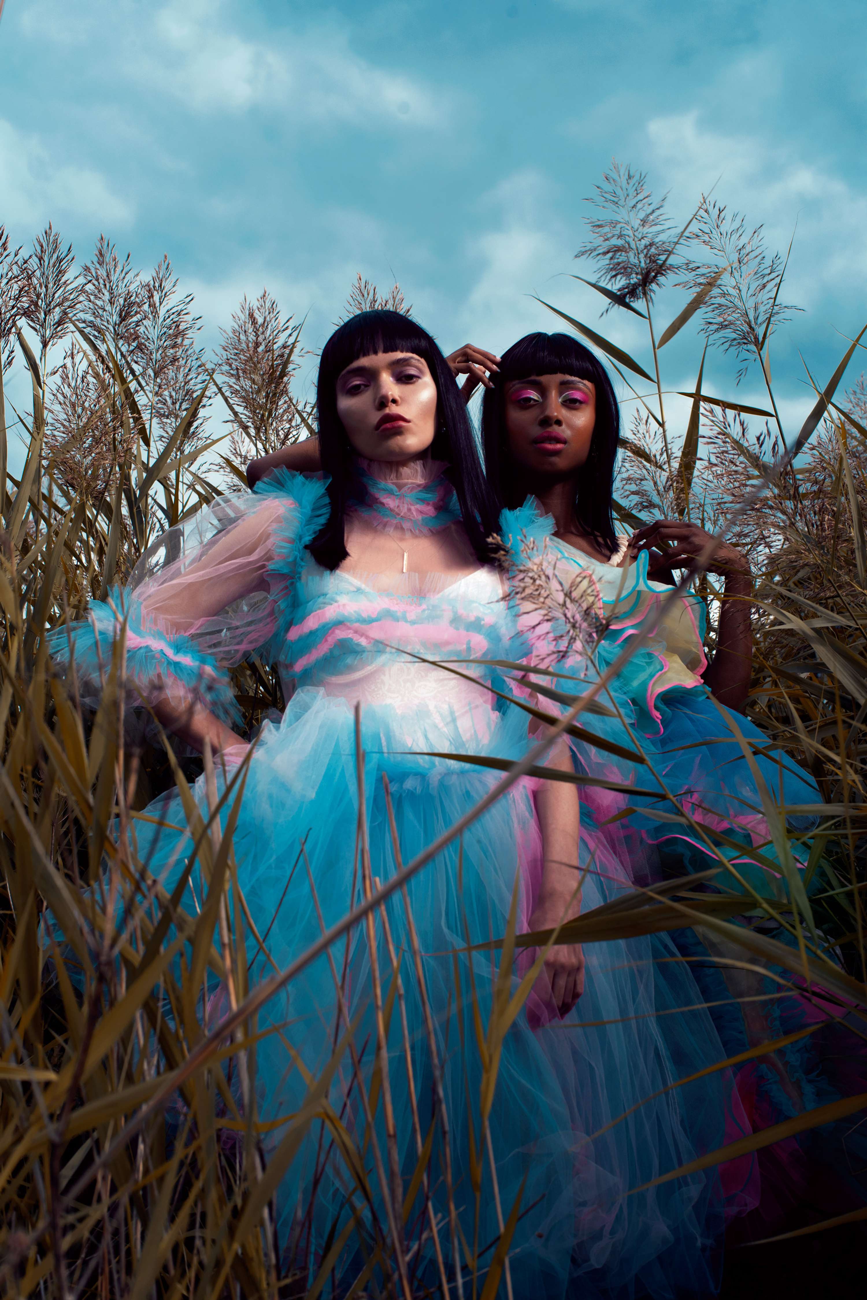 Earth's Elements Editorial by Frame Perfect, The Collective