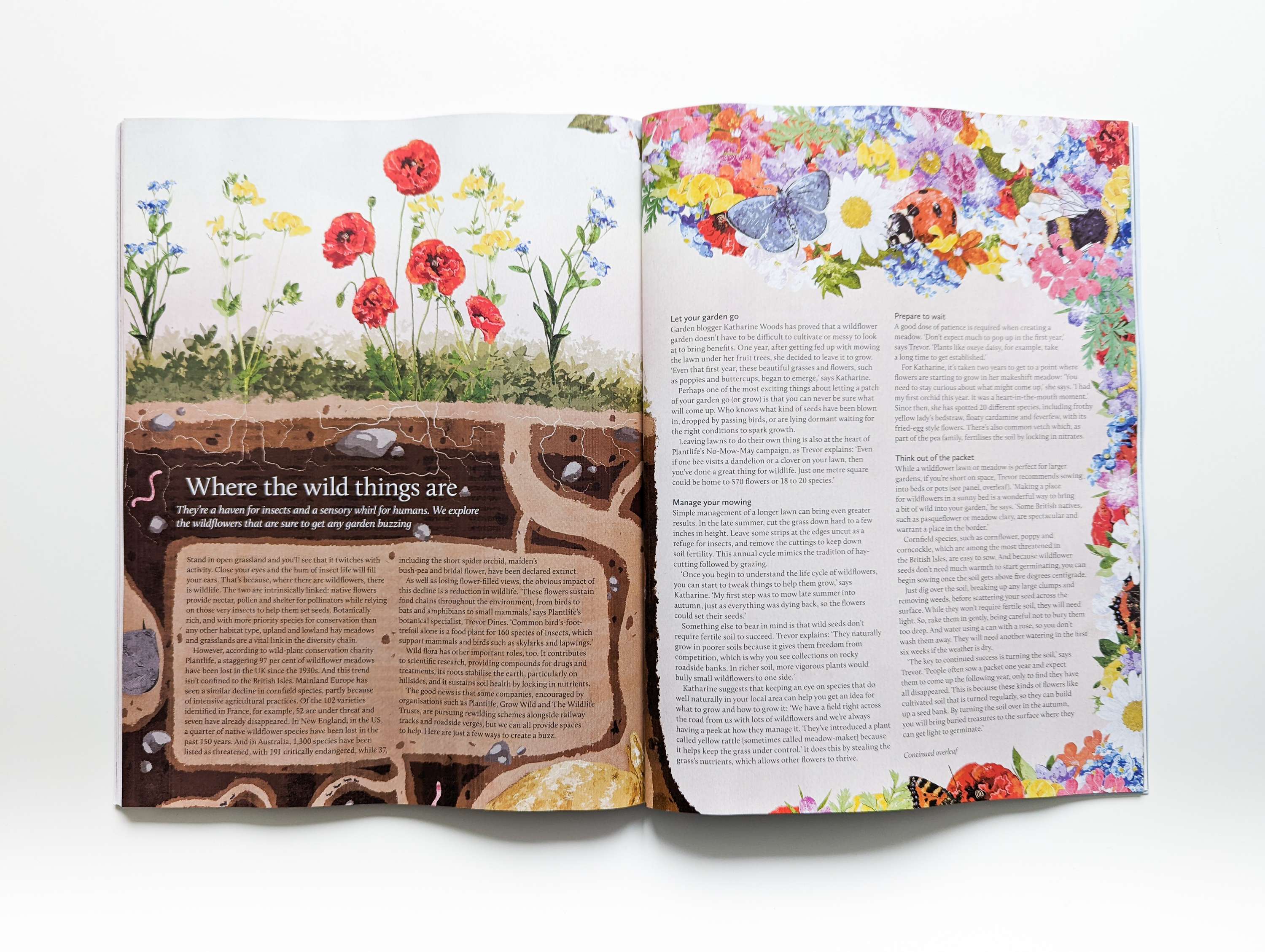 Where the Wild Things are by Lauren Thorley