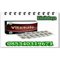 Jual Vitamale Obat Kuat Tahan Lama  Alamat Di Malang 085340319671 Bayar COD logo