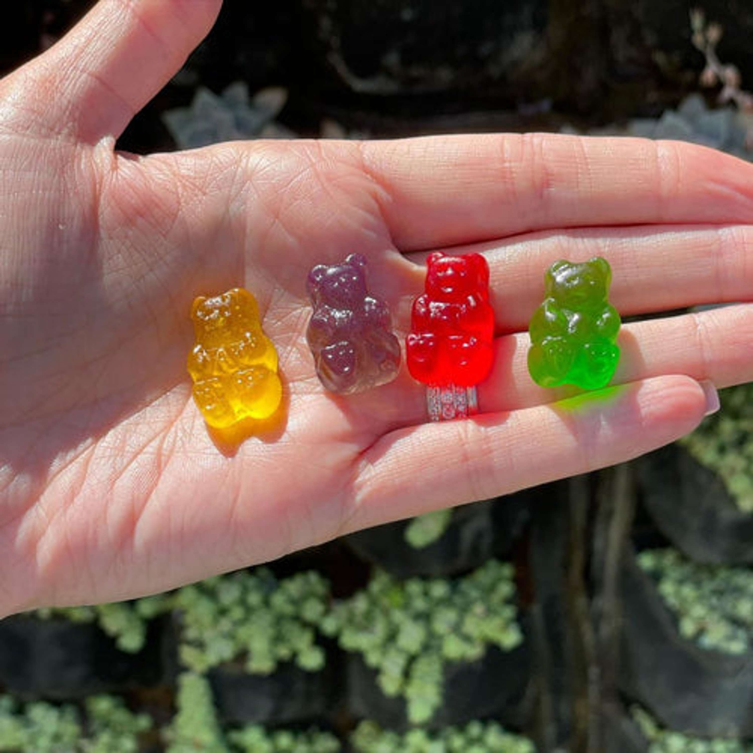 Ree Drummond CBD Gummies  Reviews (2022 Updated) THC Free | Scam or Legit? by Omis Kil