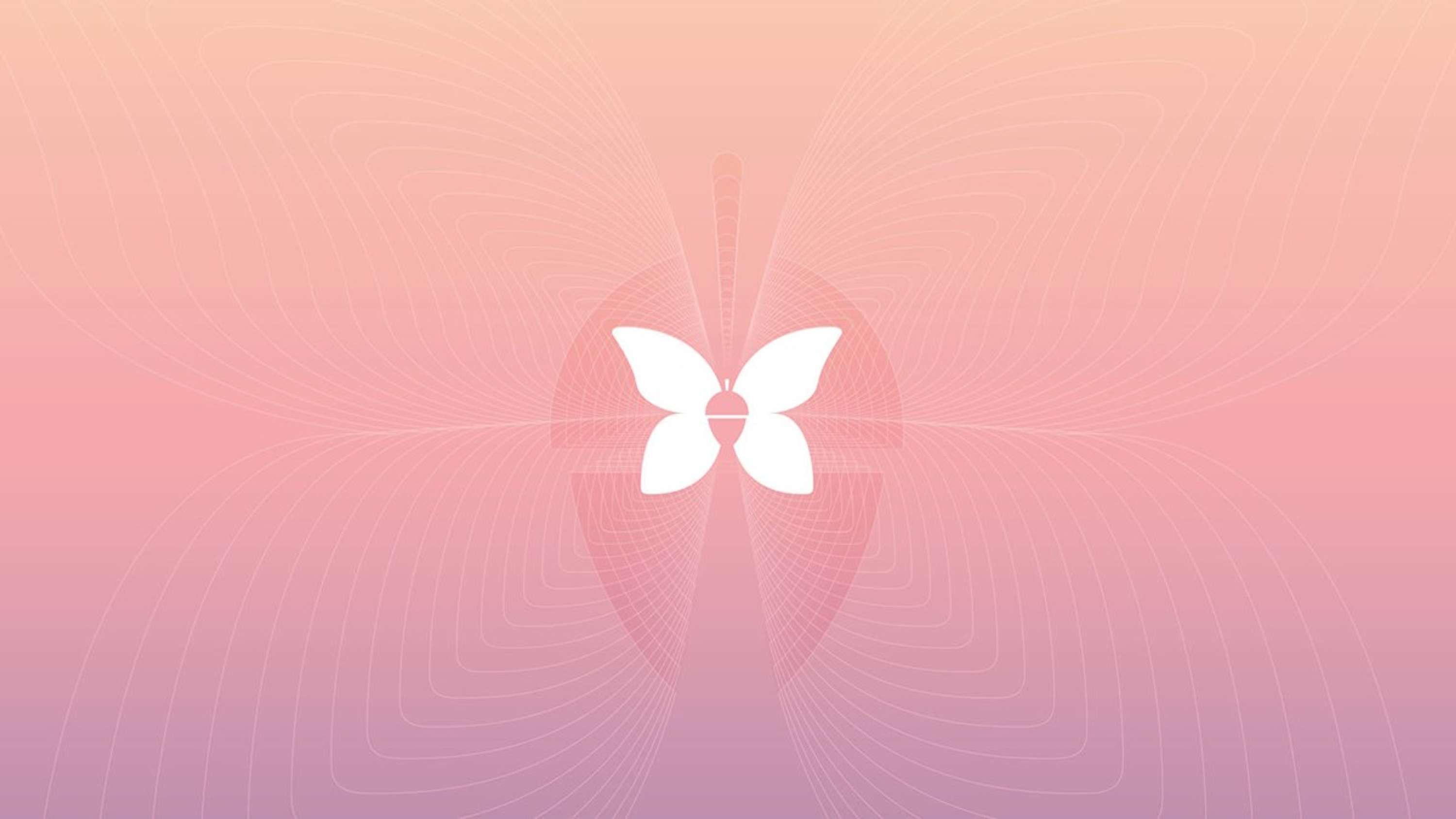 Transform Group – Branding for health by Superfried