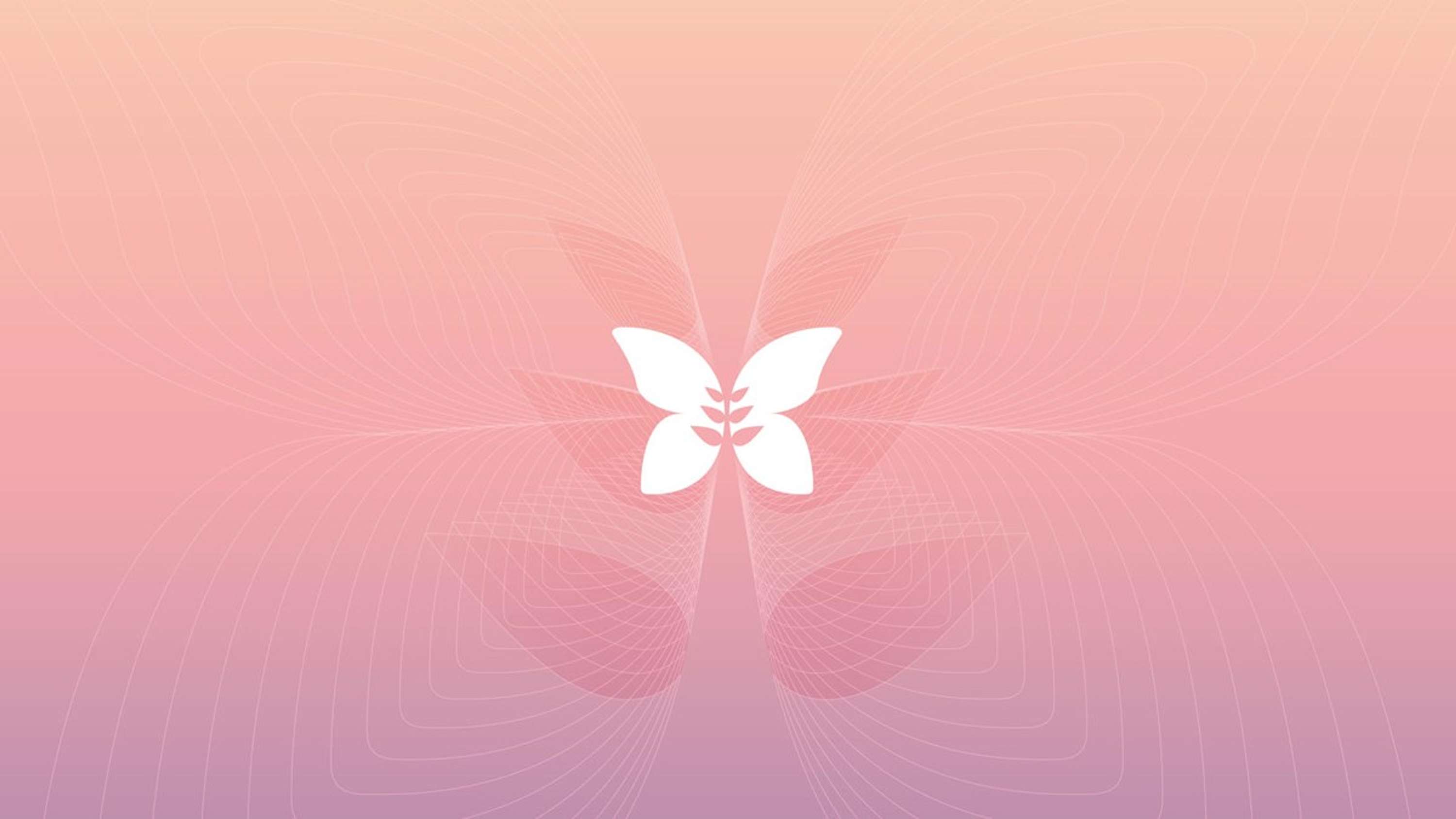 Transform Group – Branding for health by Superfried