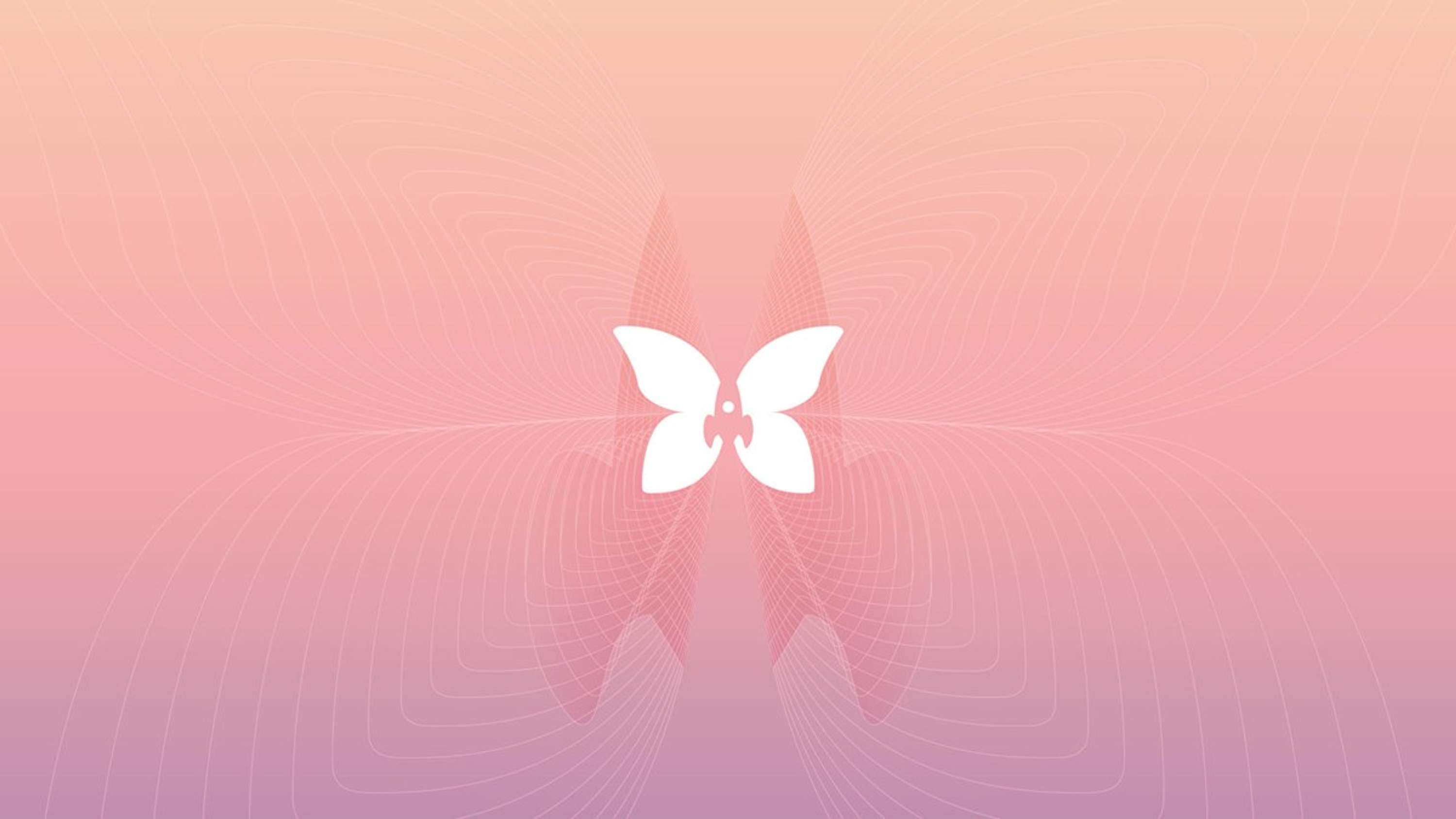Transform Group – Branding for health by Superfried
