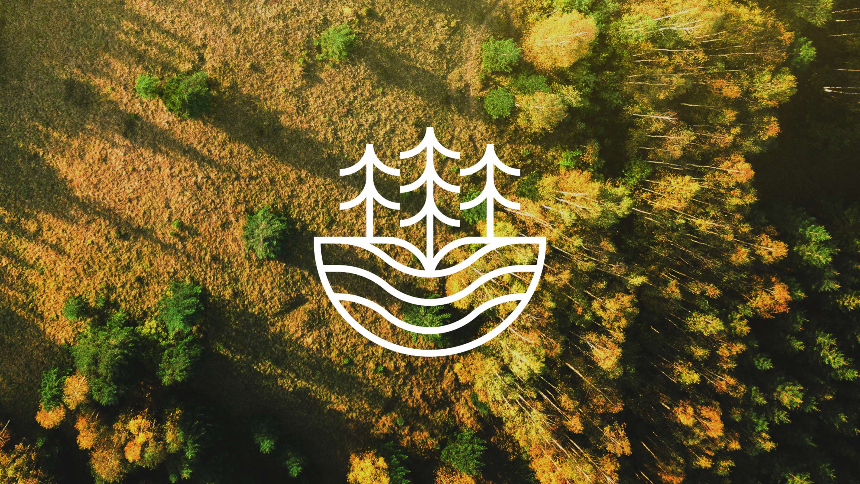 SilvaScienta Logo Redesign by Edward Penna