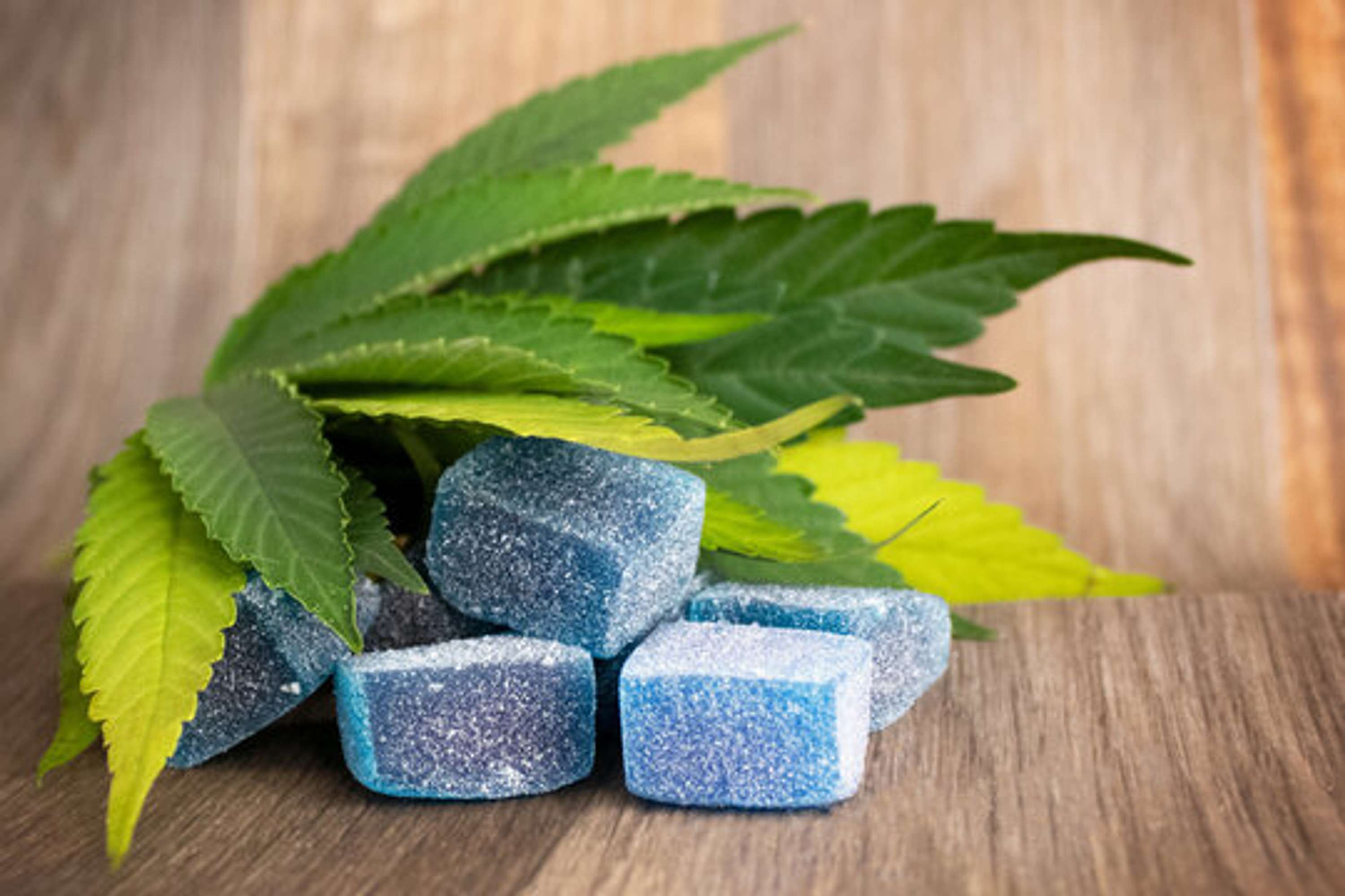Jeopardy CBD Gummies Formula Total Pain Relief! by annu bhardwaj
