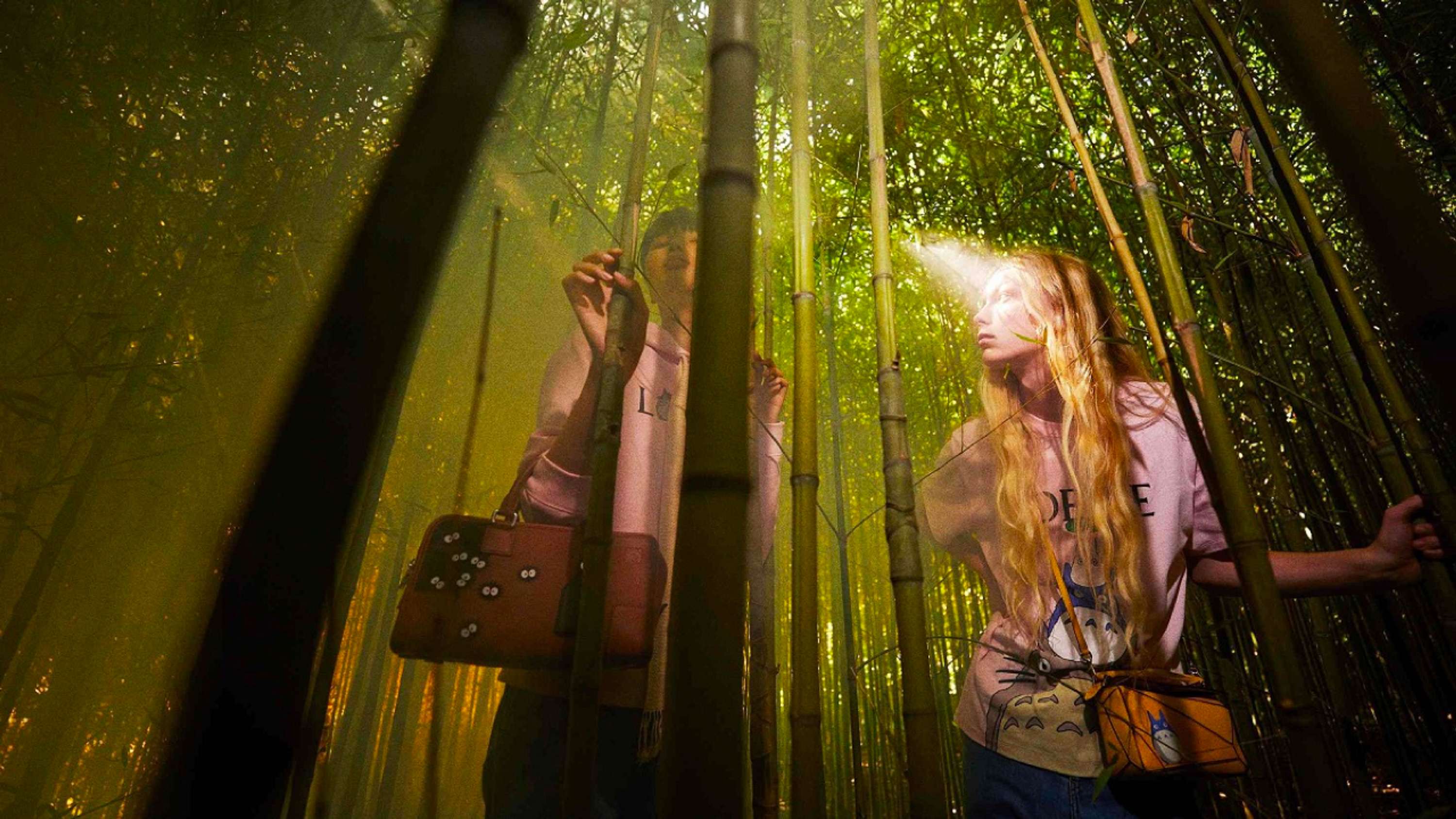 Madly in Loewe with Ghibli by AKQA