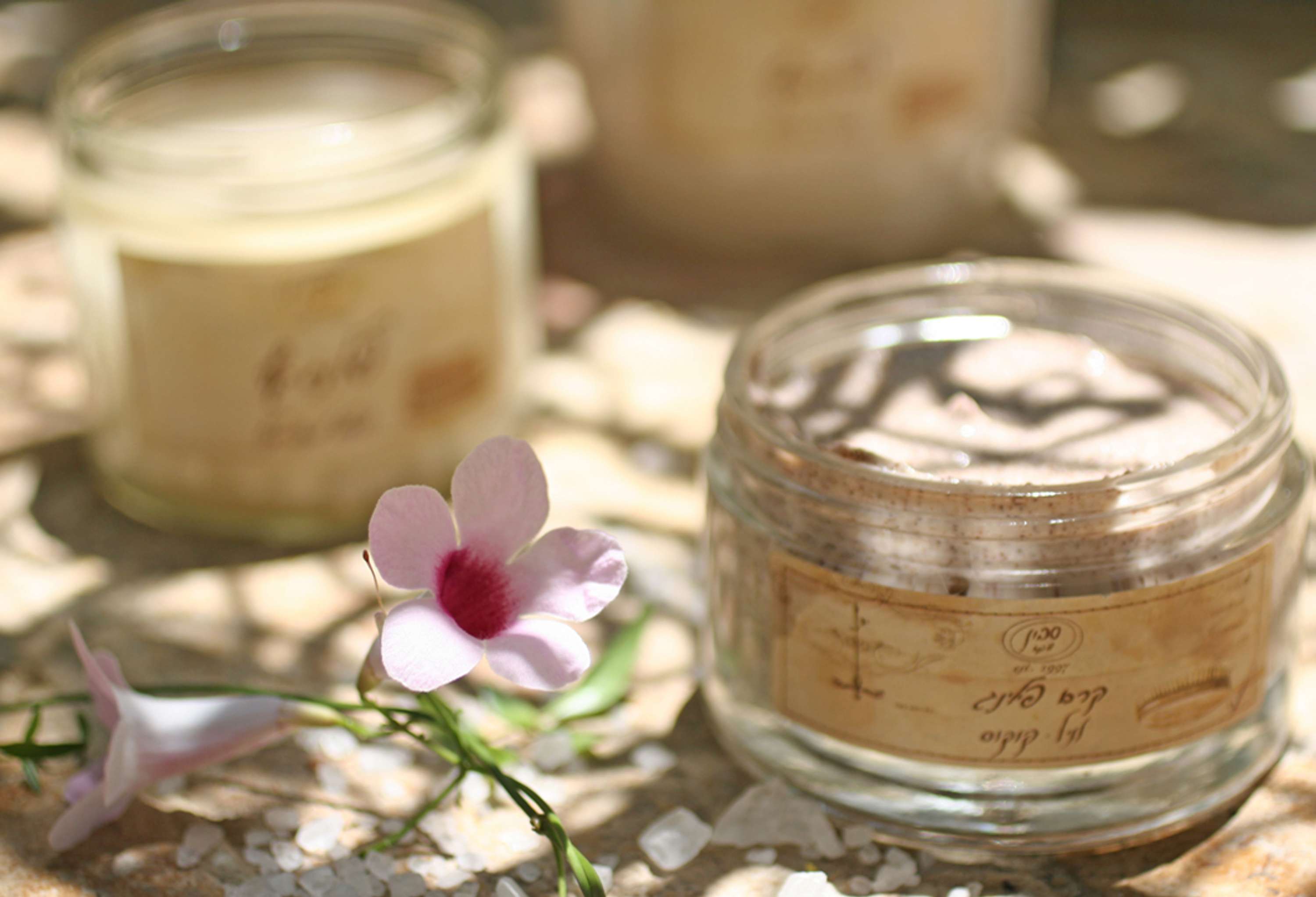 Sabon - Rebranding and a complete concept creation by Ryan Lev Ari
