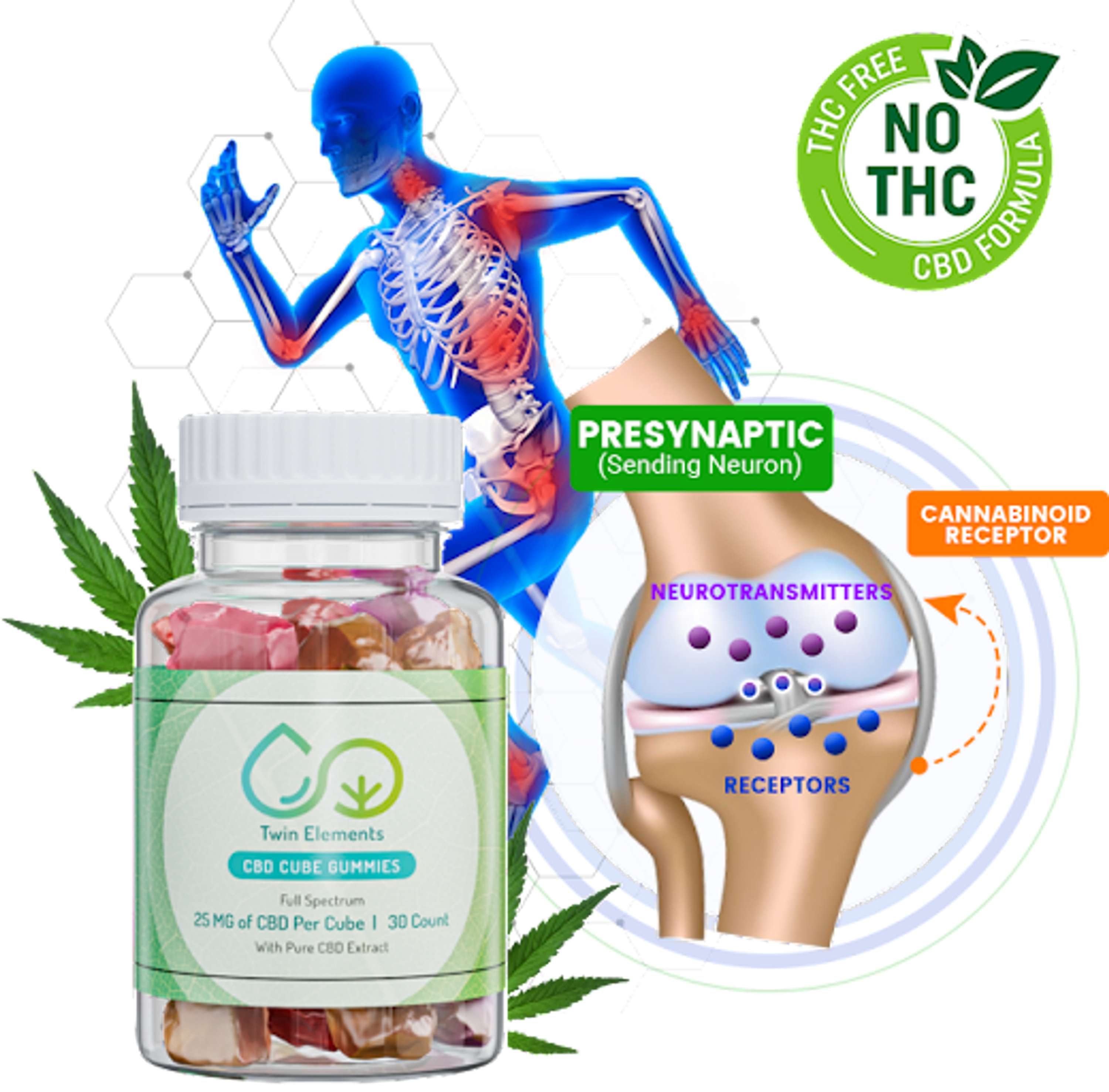 Cannacares CBD Gummies (Scam or Legit) Read Expert Reviews! by annu bhardwaj