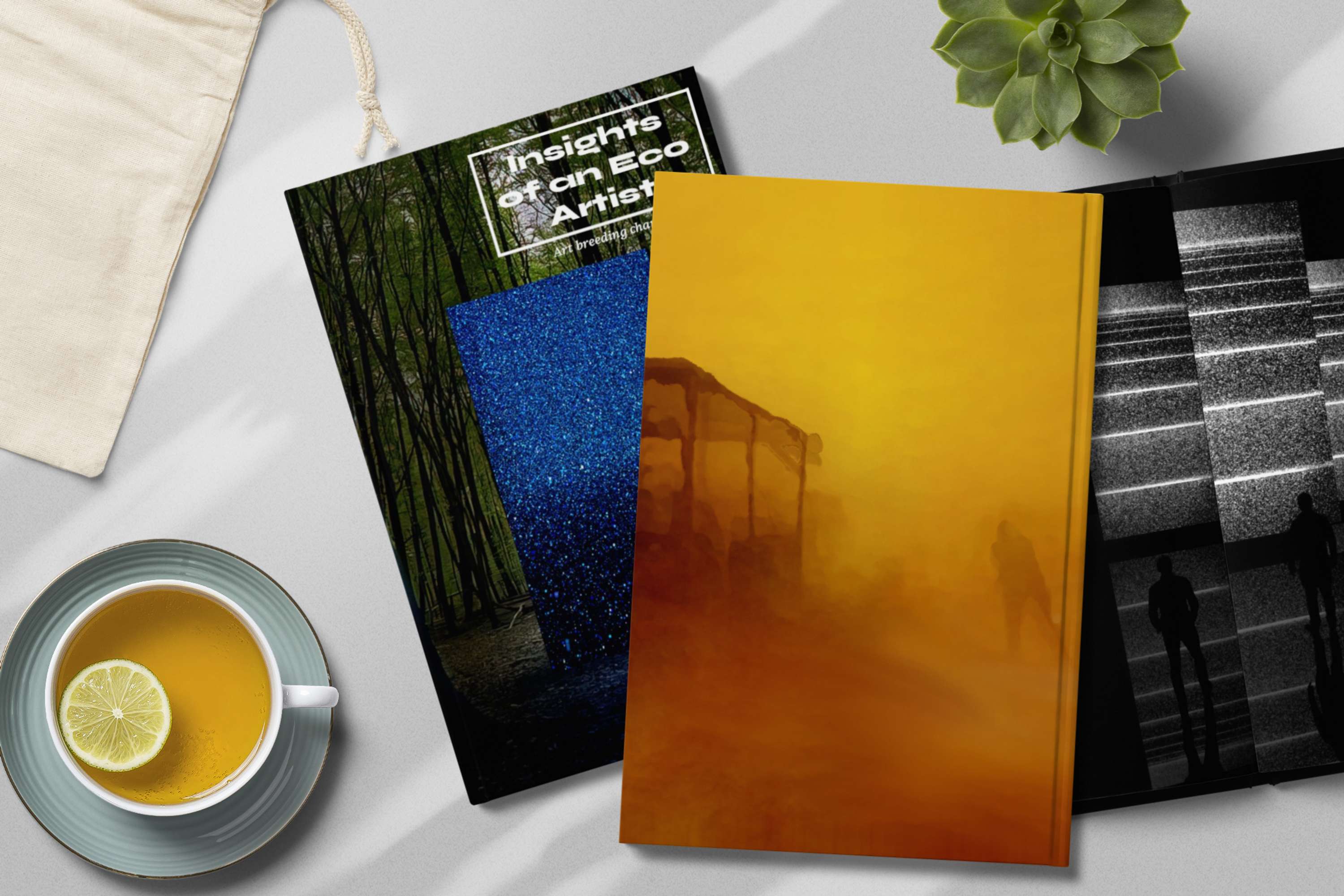 First Print  Issue of Insights of an Eco Artist is now available! by Insights of an Eco Artist