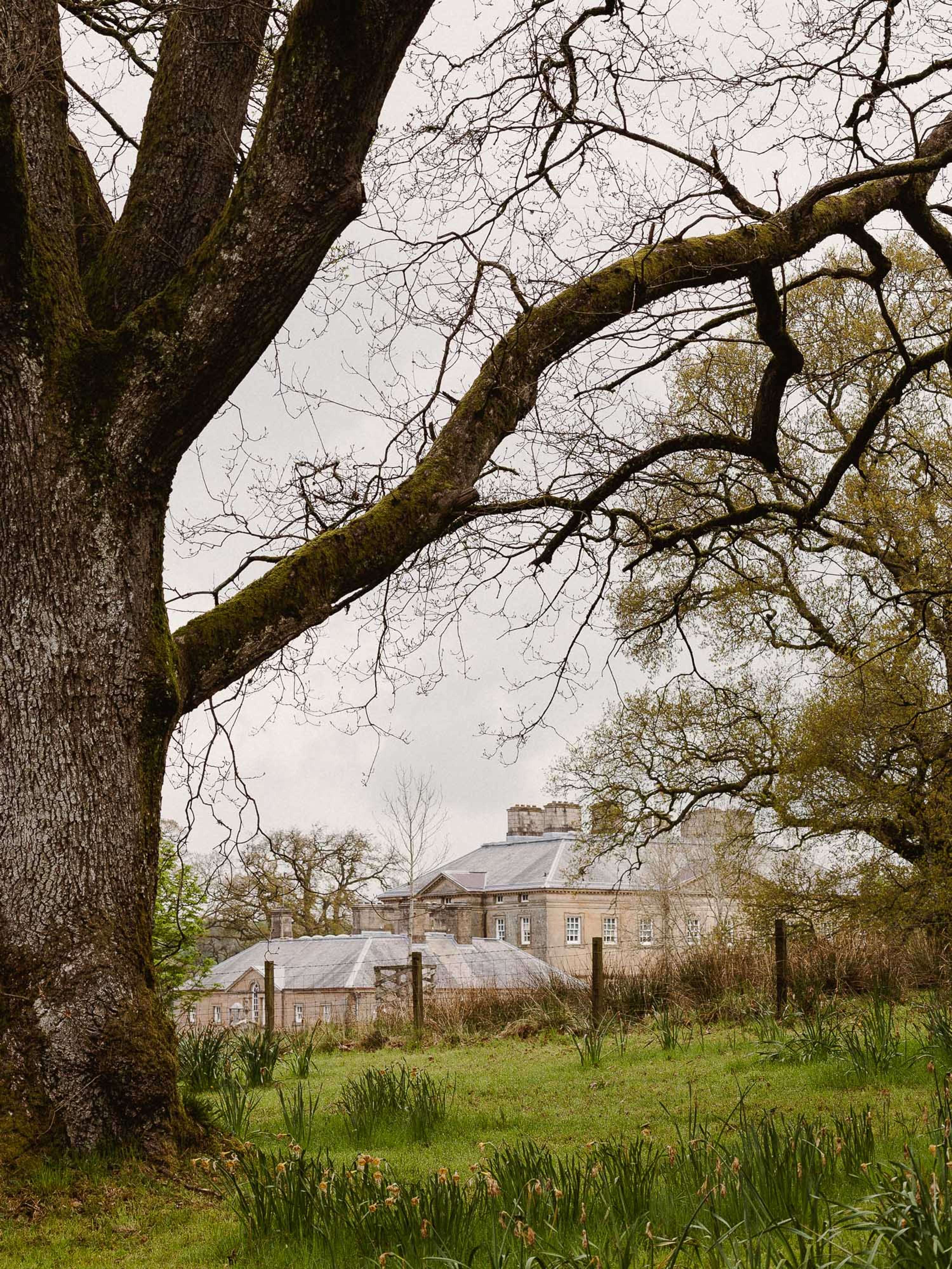 Dumfries House by Nacho Rivera
