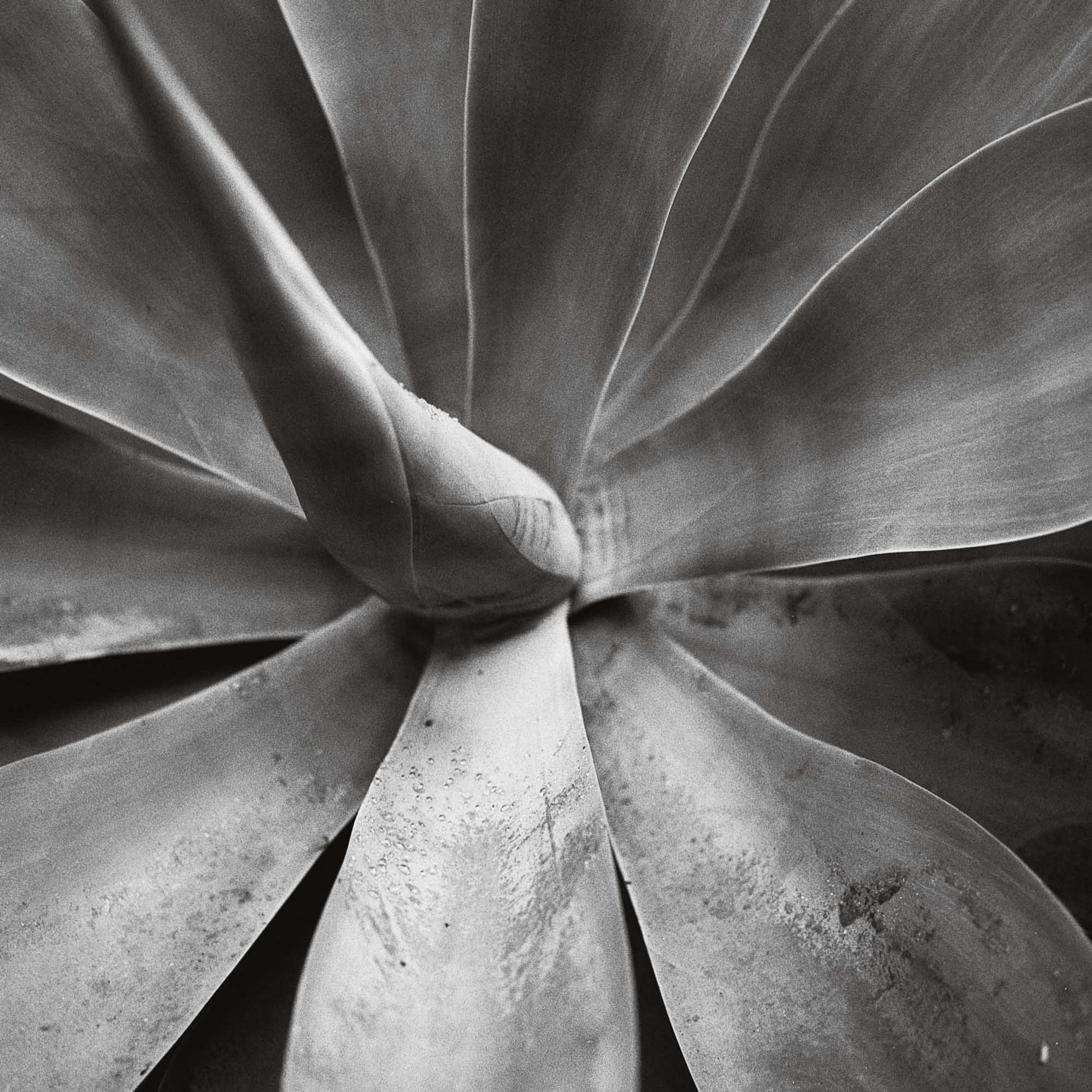 In Praise of Generosity by Nacho Rivera