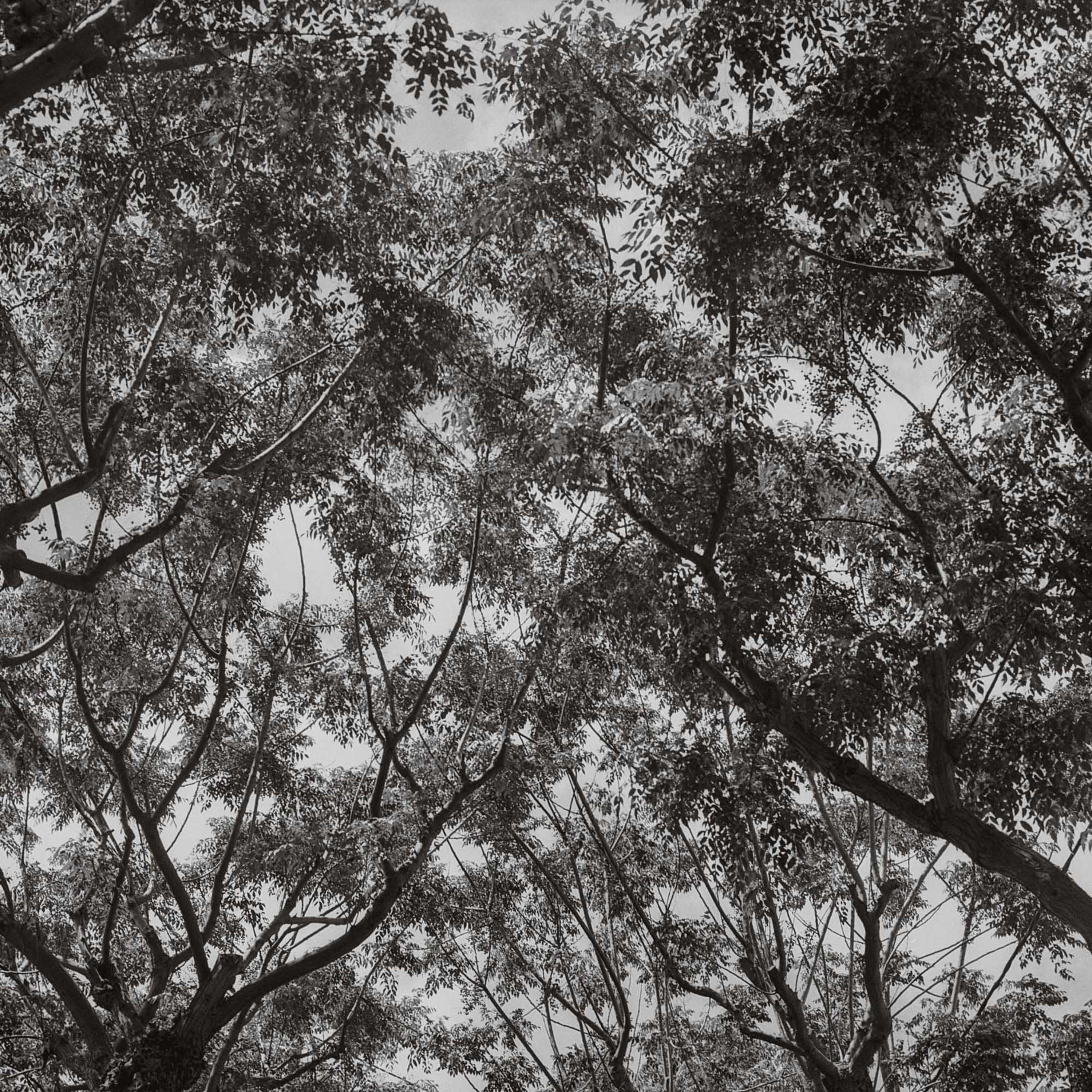 In Praise of Generosity by Nacho Rivera