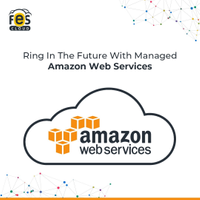 Affordable and Managed Amazon Web Services in India - FES Cloud logo