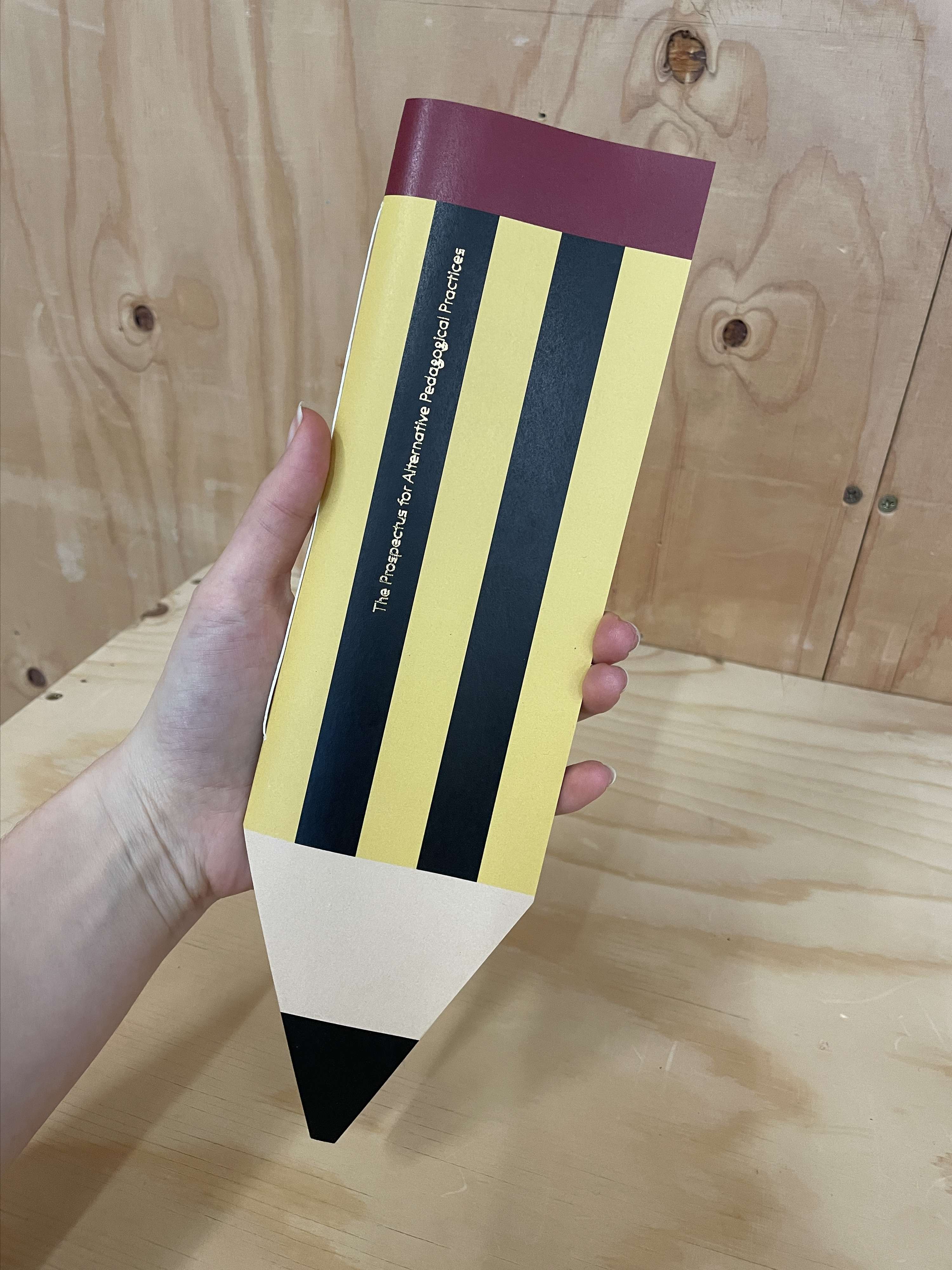 The Prospectus for Alternative Pedagogical Practices (2022) by Libby Higgins