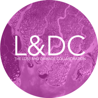 The Loss and Damage Collaboration  (L&DC) logo
