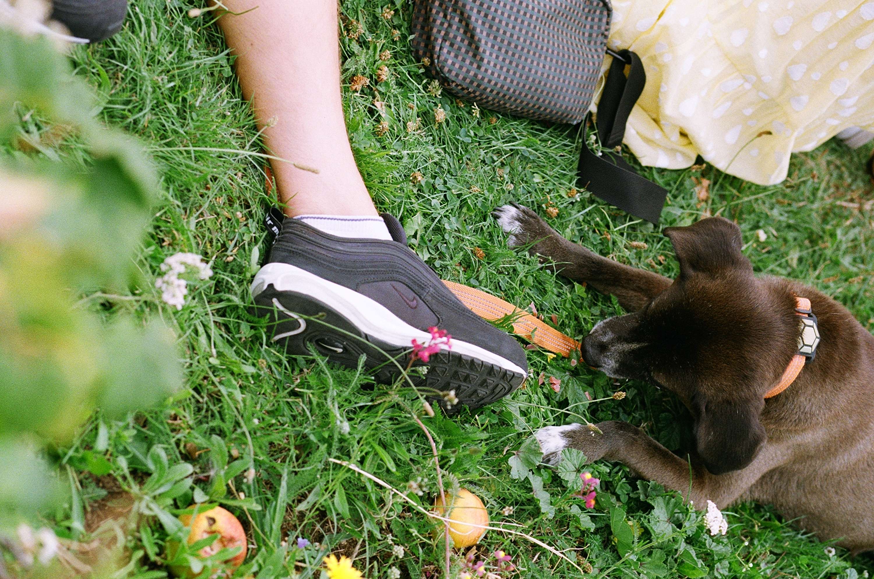 Nike event: Chilli Con Carner by Arron Watson-McNab