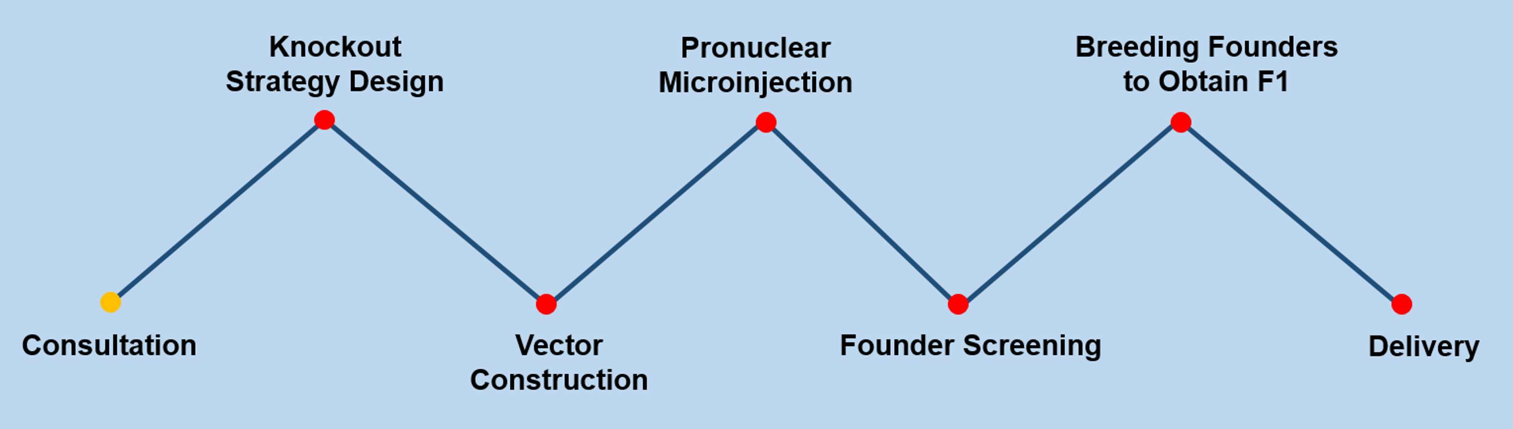 Gene Knockout Mouse Generation by wendy wilson
