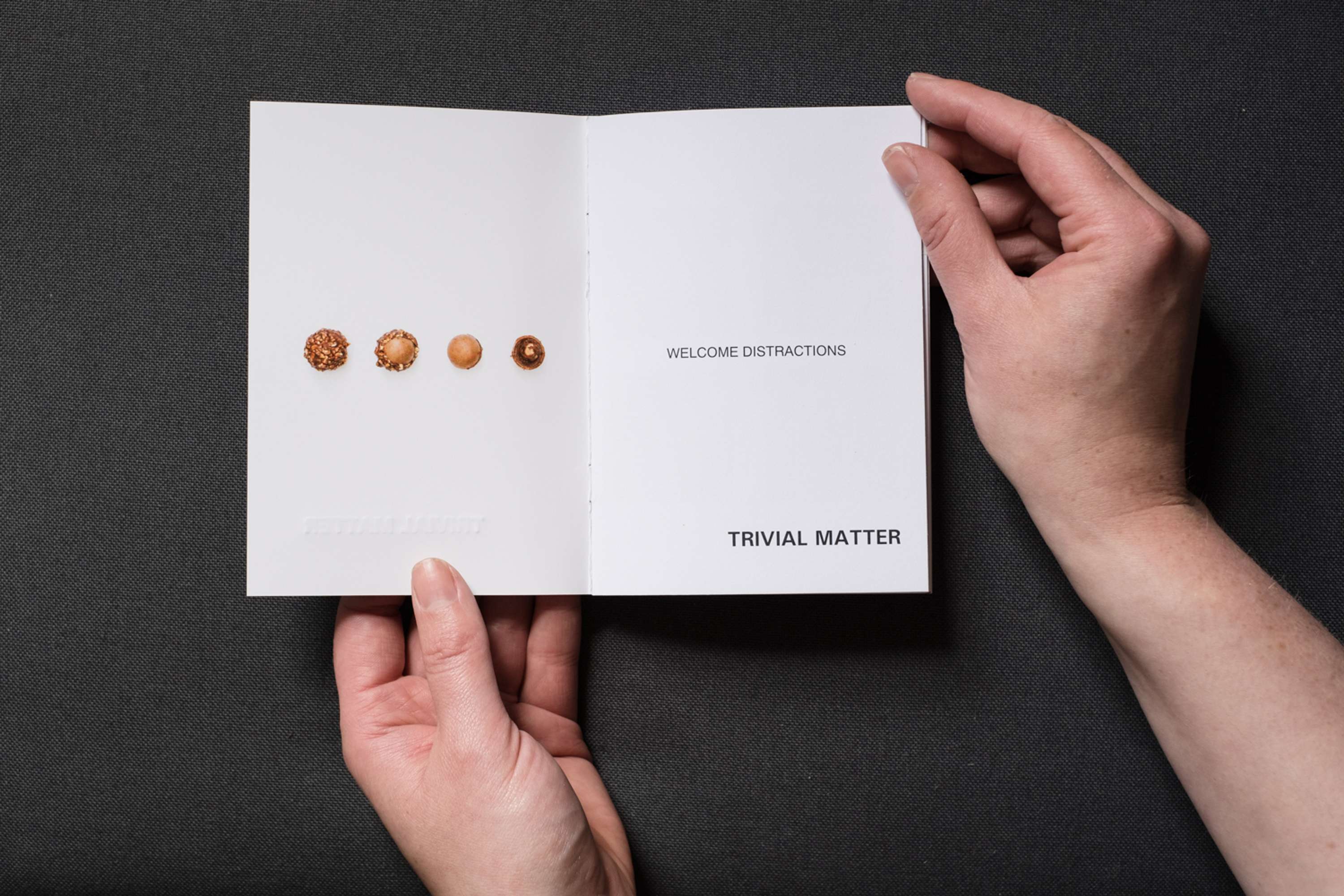 TRIVIAL MATTER by Jayne Lloyd