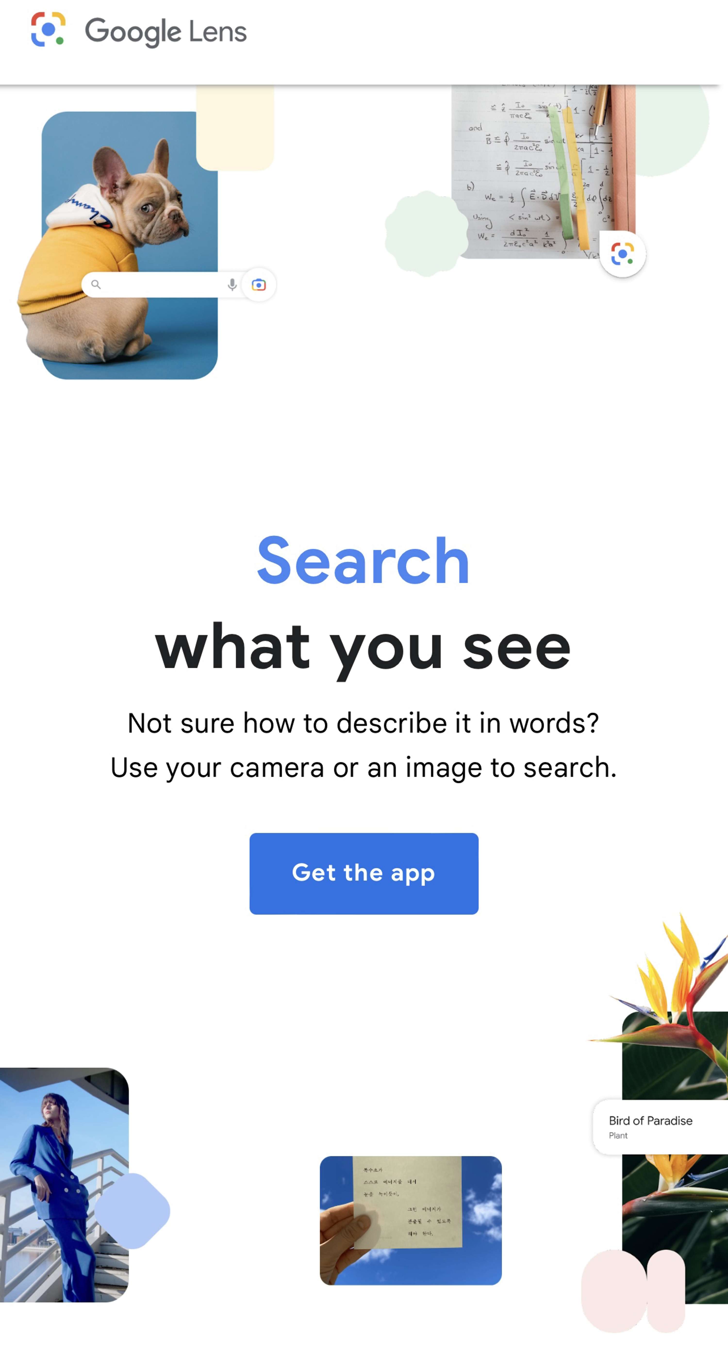 GOOGLE - FIND THAT THING by Ruben-Joy Lheureux