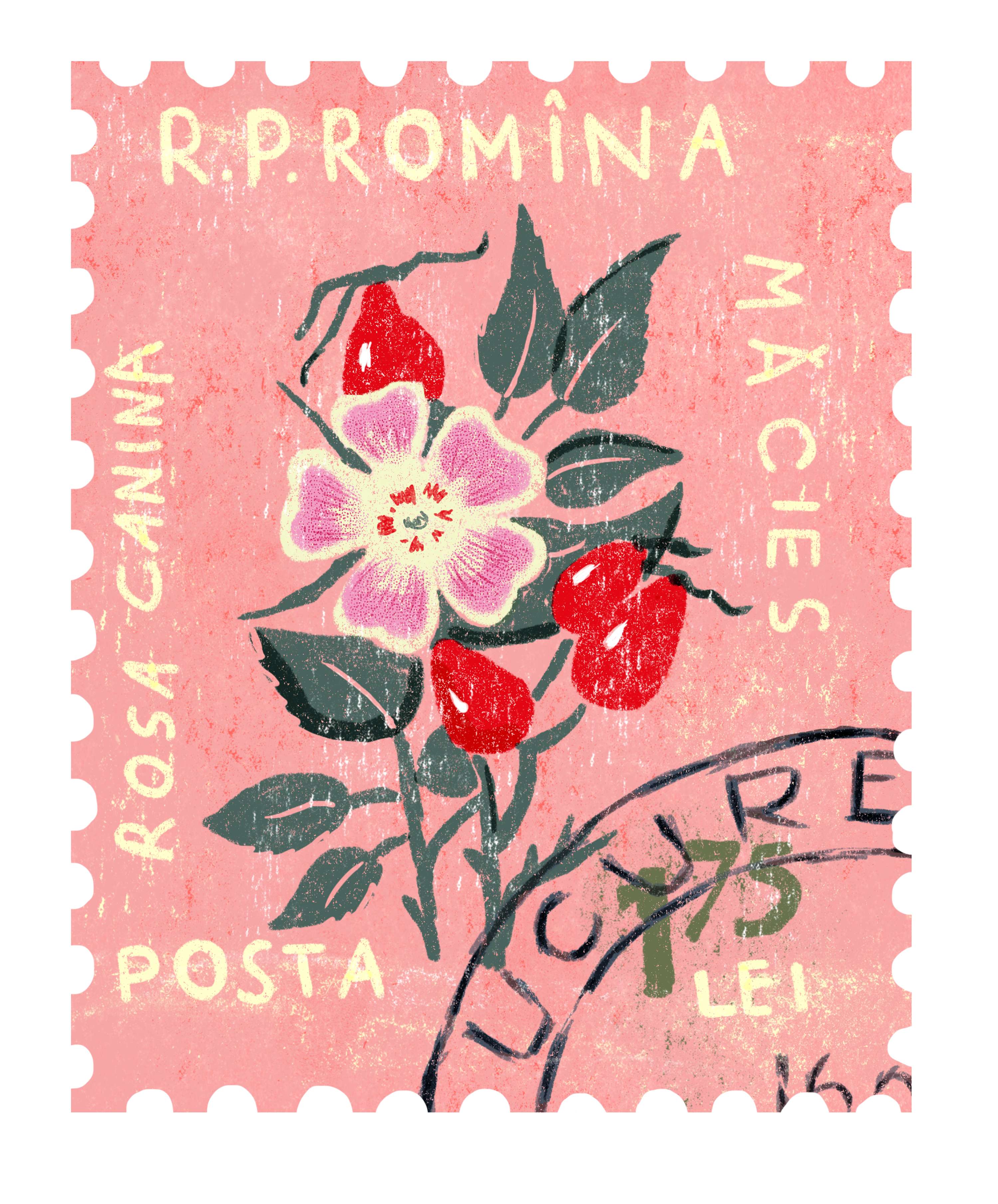 Stamp Collection by Danielle Dey
