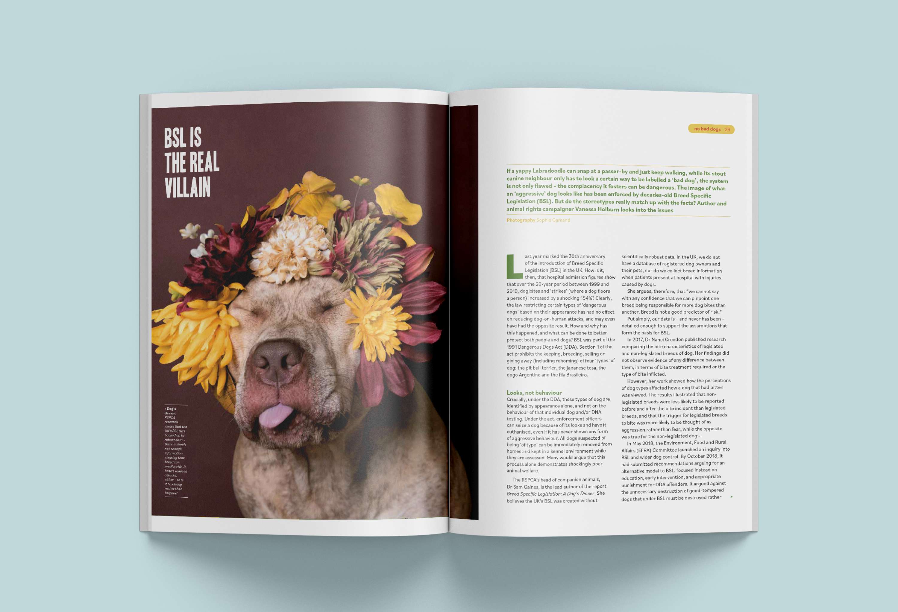Wunderdog Magazine issue 6 by Nina May