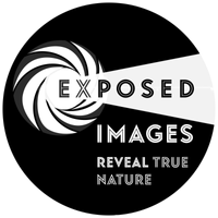 ExPosed Images Ltd logo