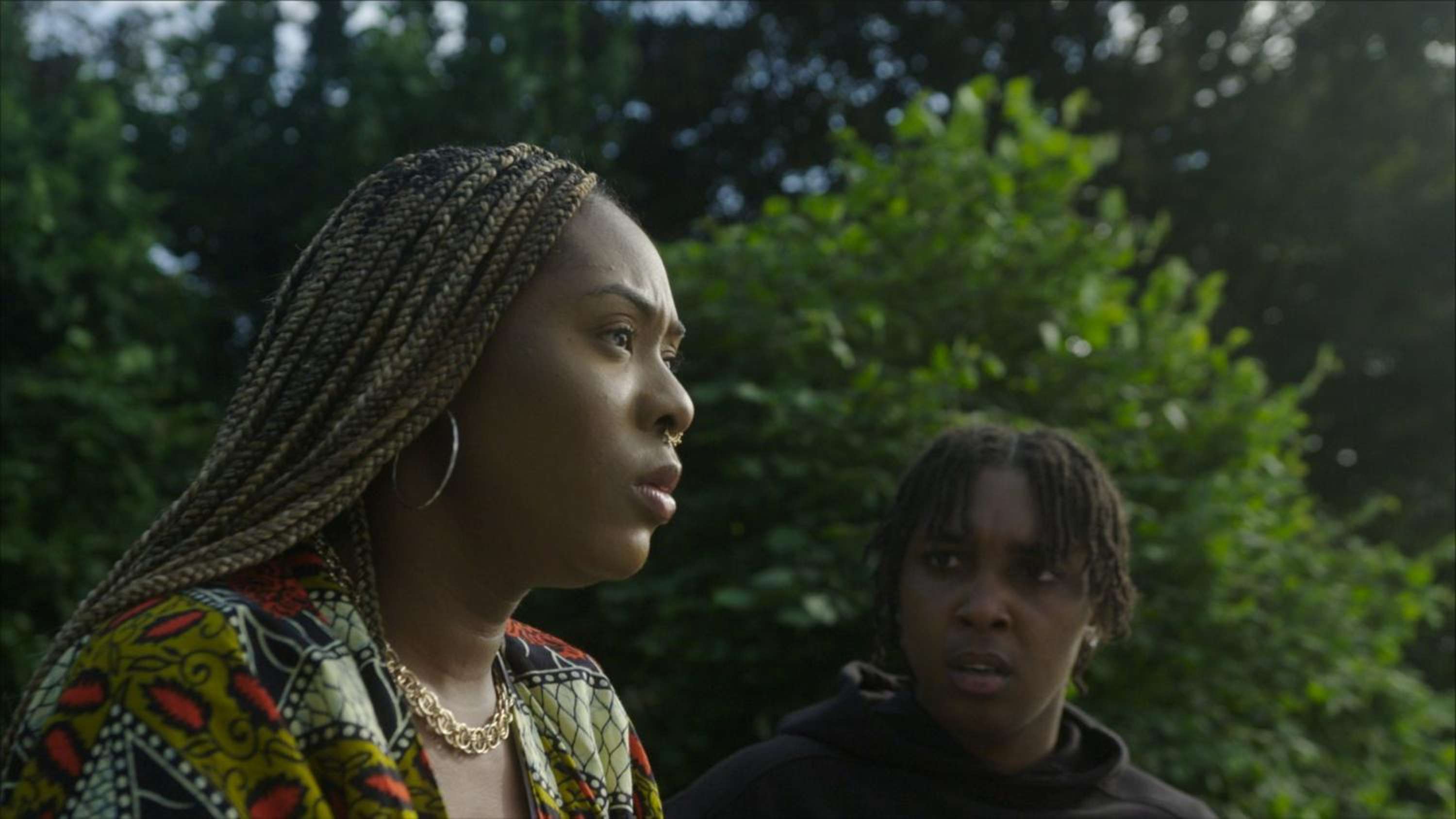 Silverback Web-series by Hoagy Hickson