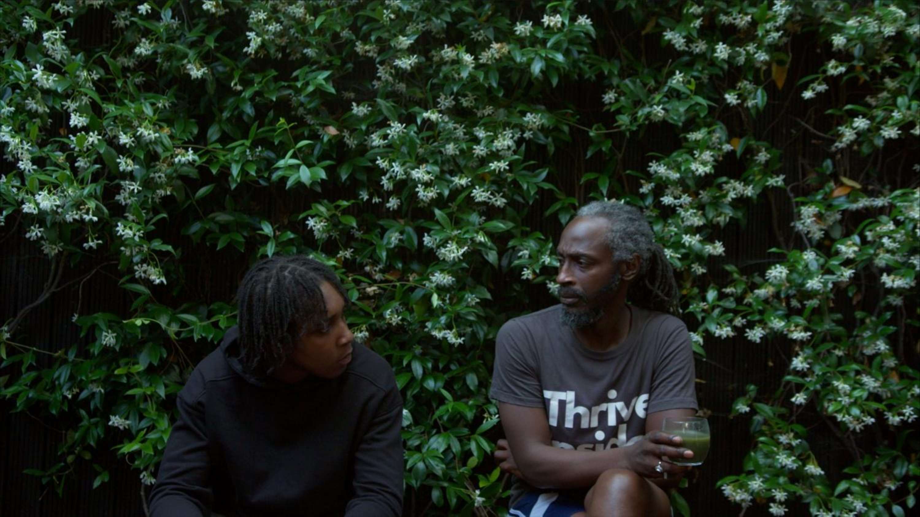 Silverback Web-series by Hoagy Hickson