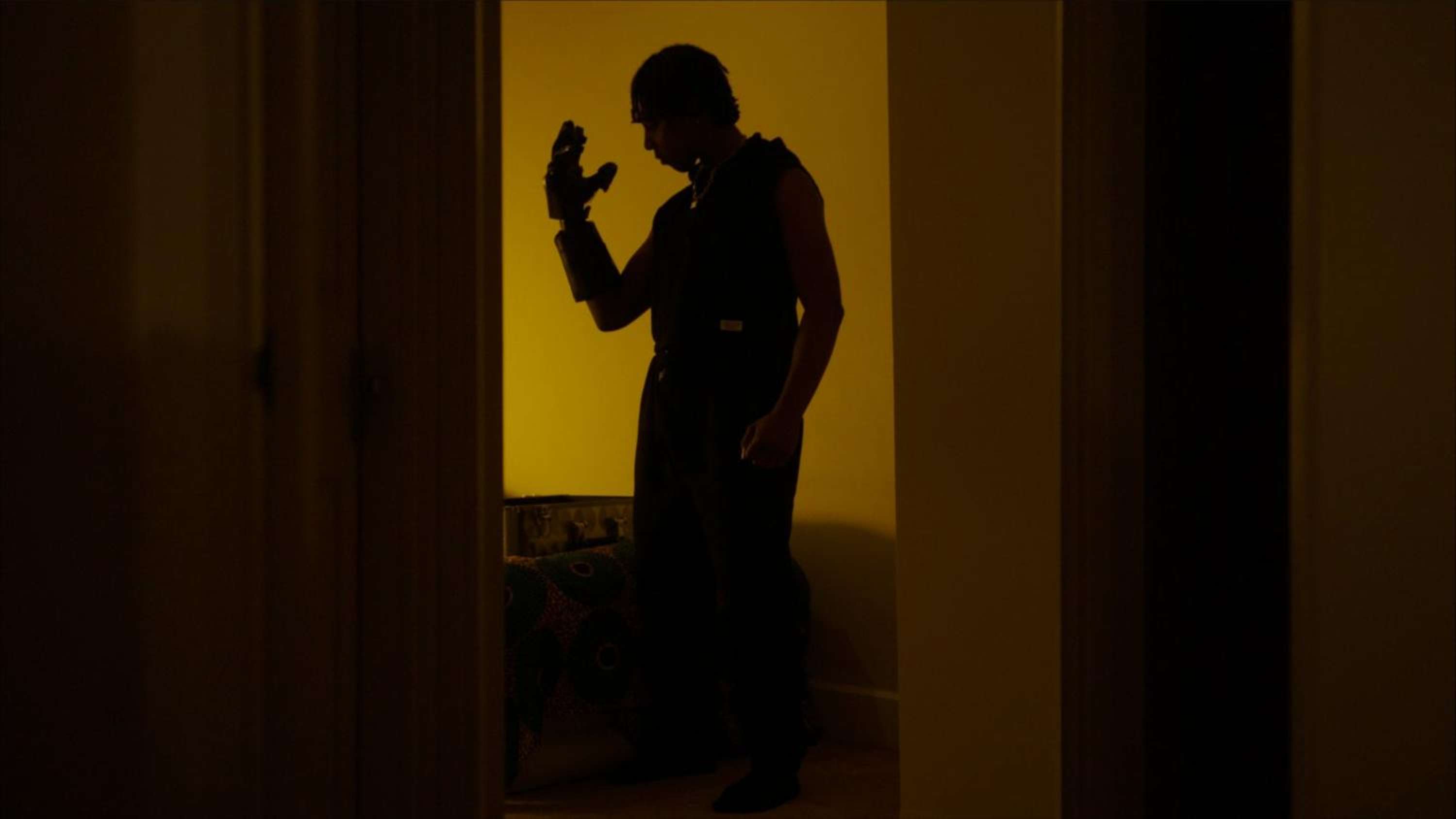 Silverback Web-series by Hoagy Hickson
