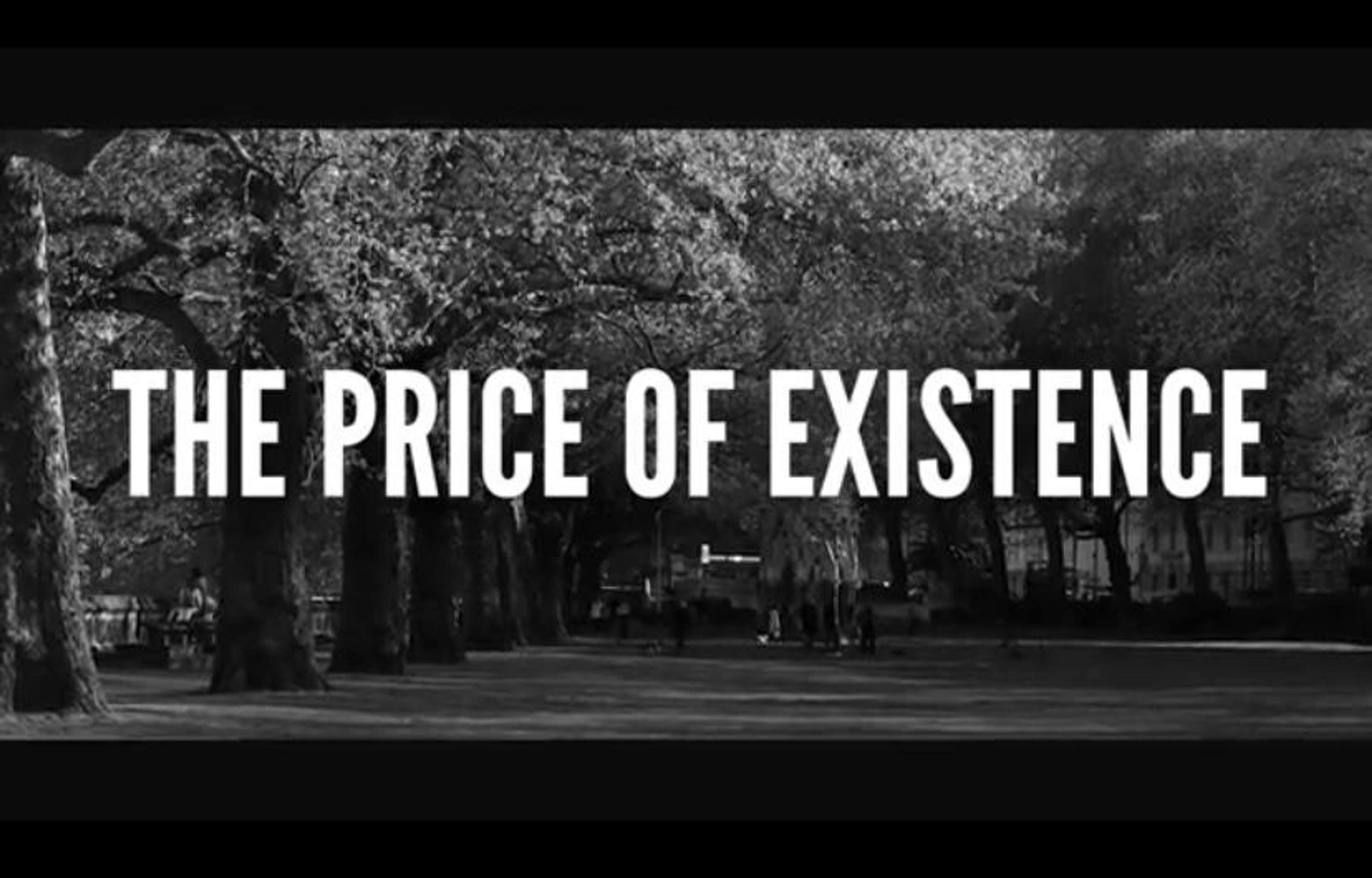 The Price of Existence by Alessio Ndoka