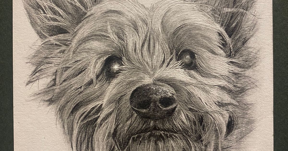 Dog sketch | The Dots