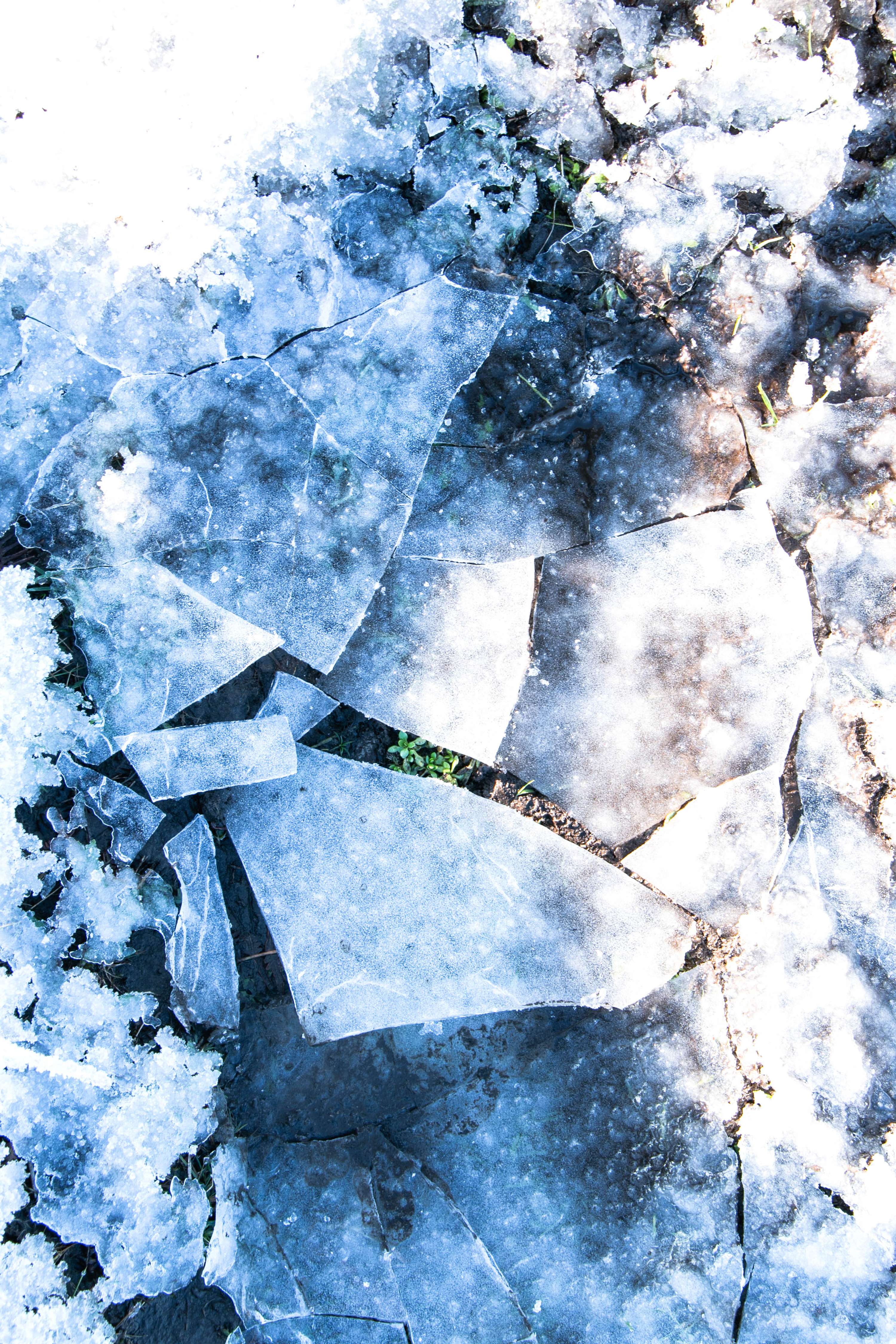 Personal Project — Nature by Jeremy Dobson