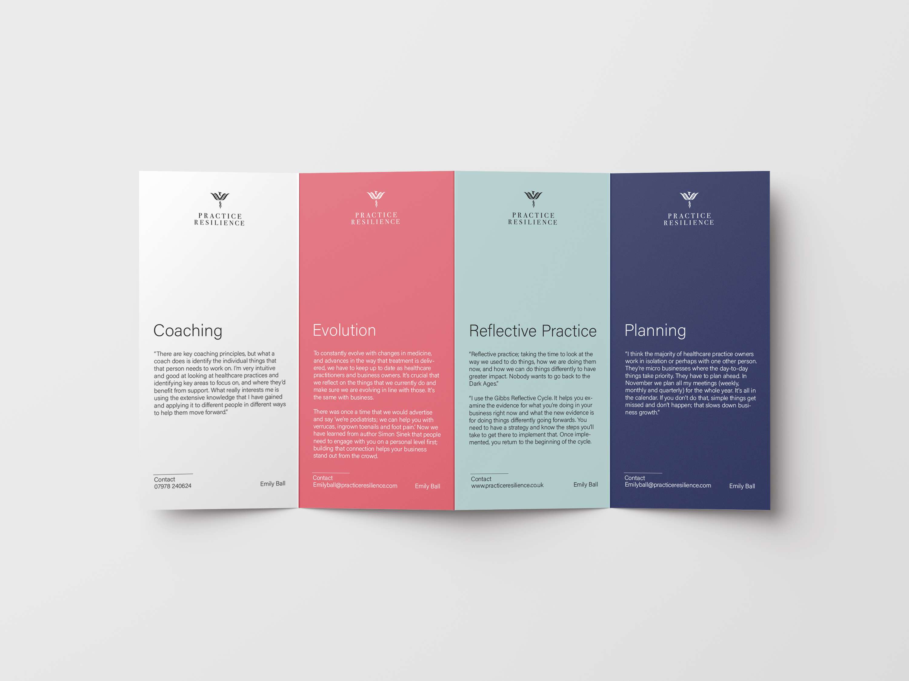 Practice Resilience by James Brickell