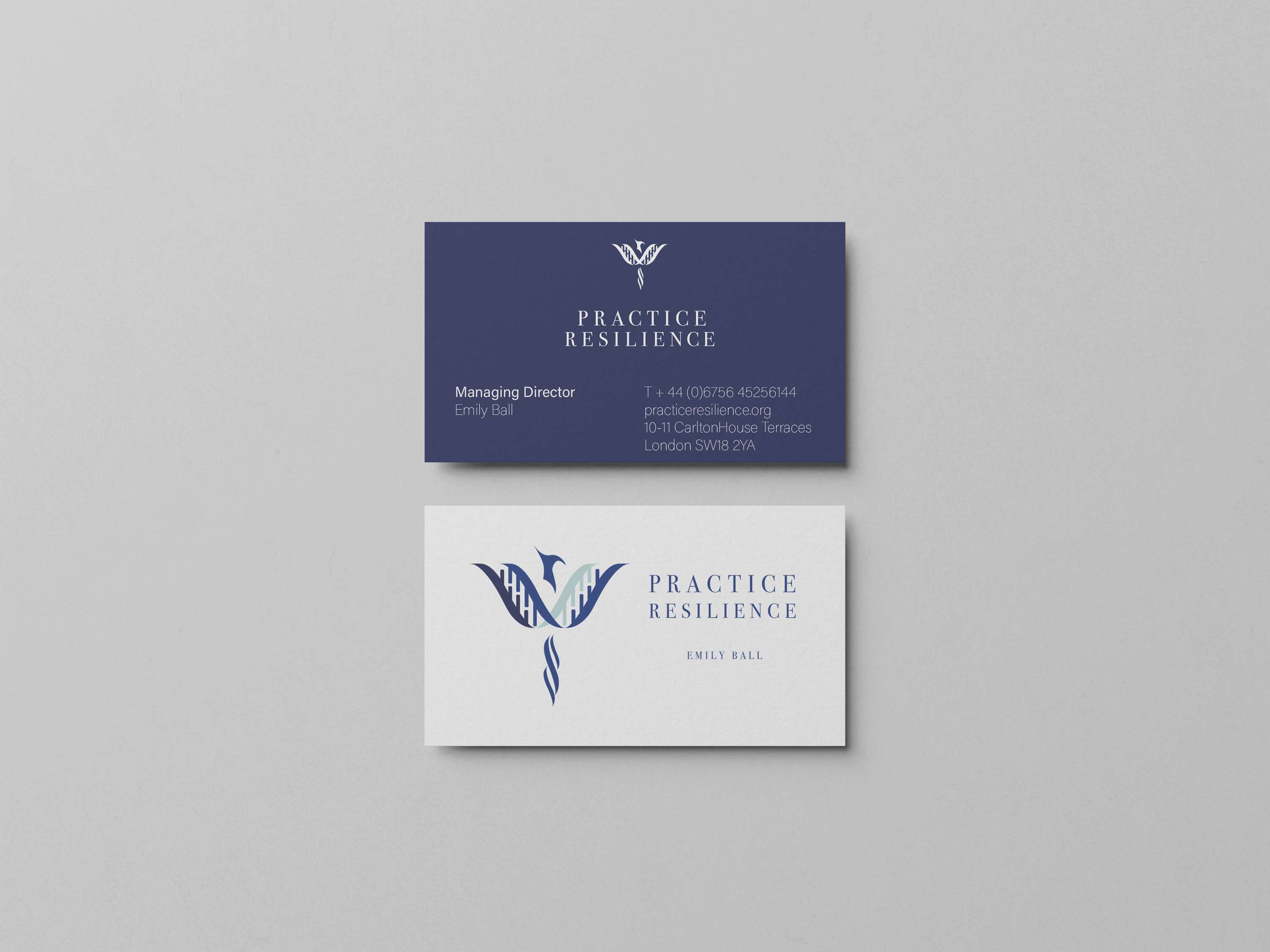 Practice Resilience by James Brickell