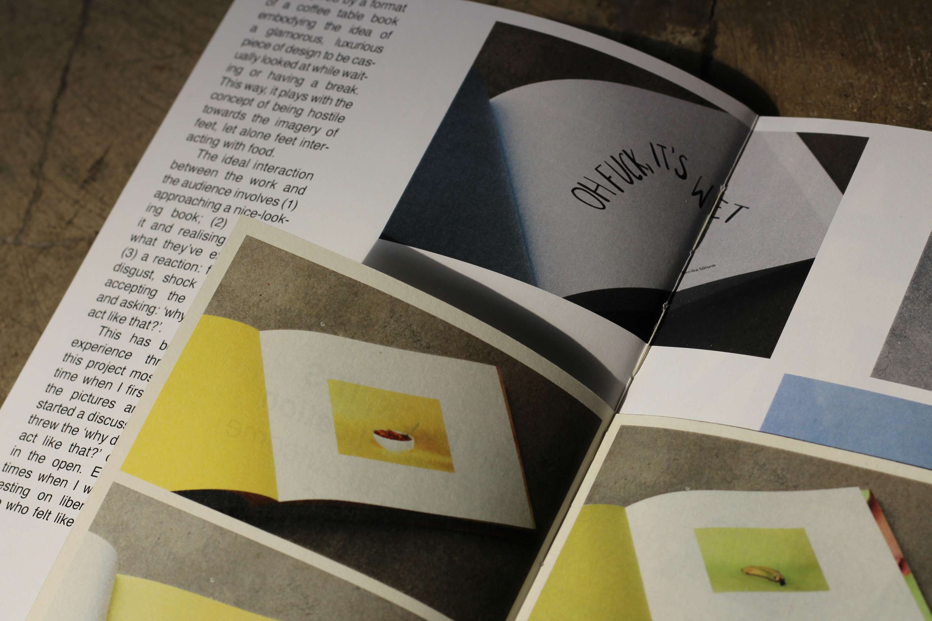 Shame, disgust and taboo in visual (and ideological) communication (dissertation project) by Weronika Szklarek