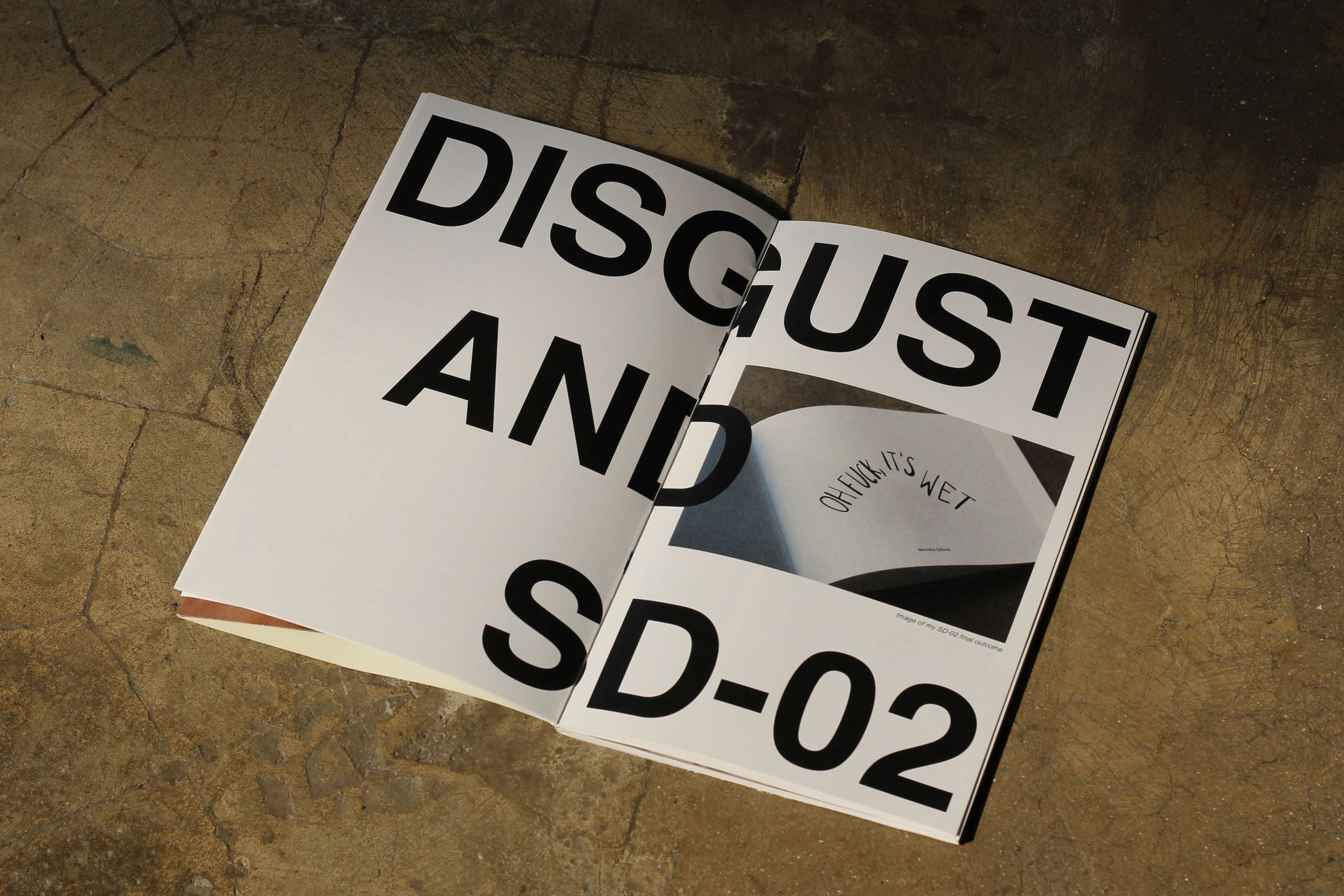 Shame, disgust and taboo in visual (and ideological) communication (dissertation project) by Weronika Szklarek