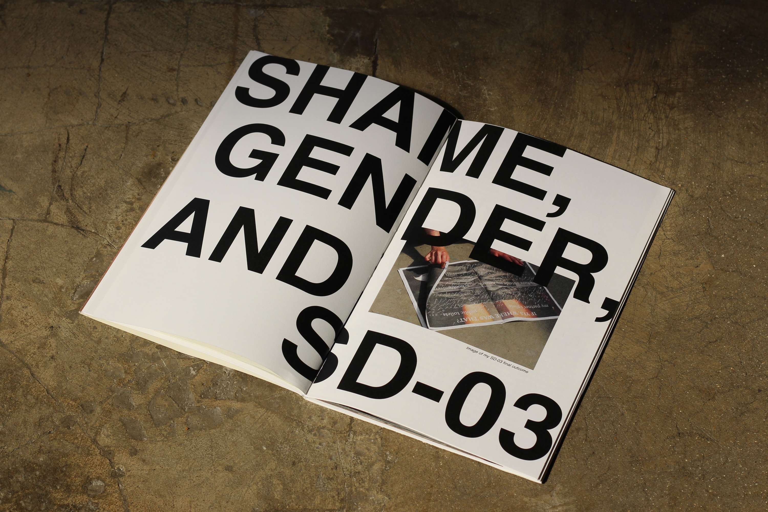 Shame, disgust and taboo in visual (and ideological) communication (dissertation project) by Weronika Szklarek