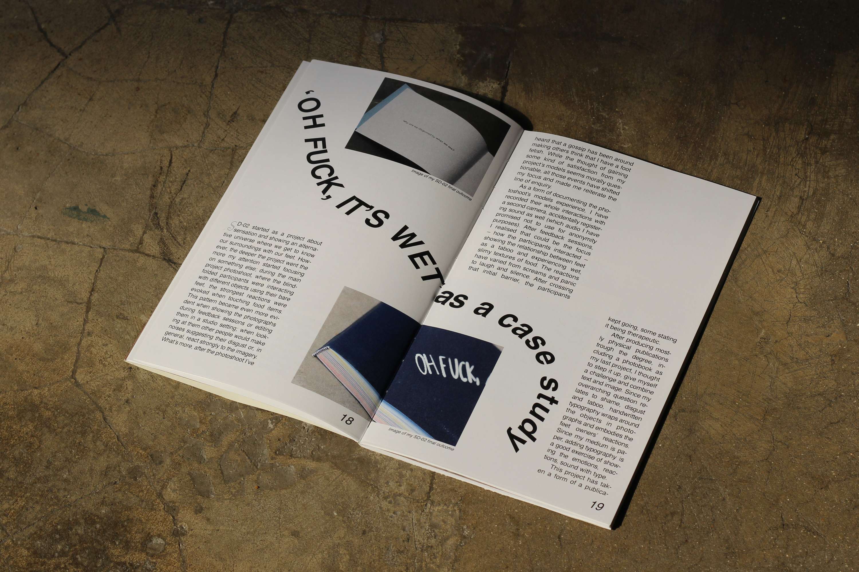 Shame, disgust and taboo in visual (and ideological) communication (dissertation project) by Weronika Szklarek