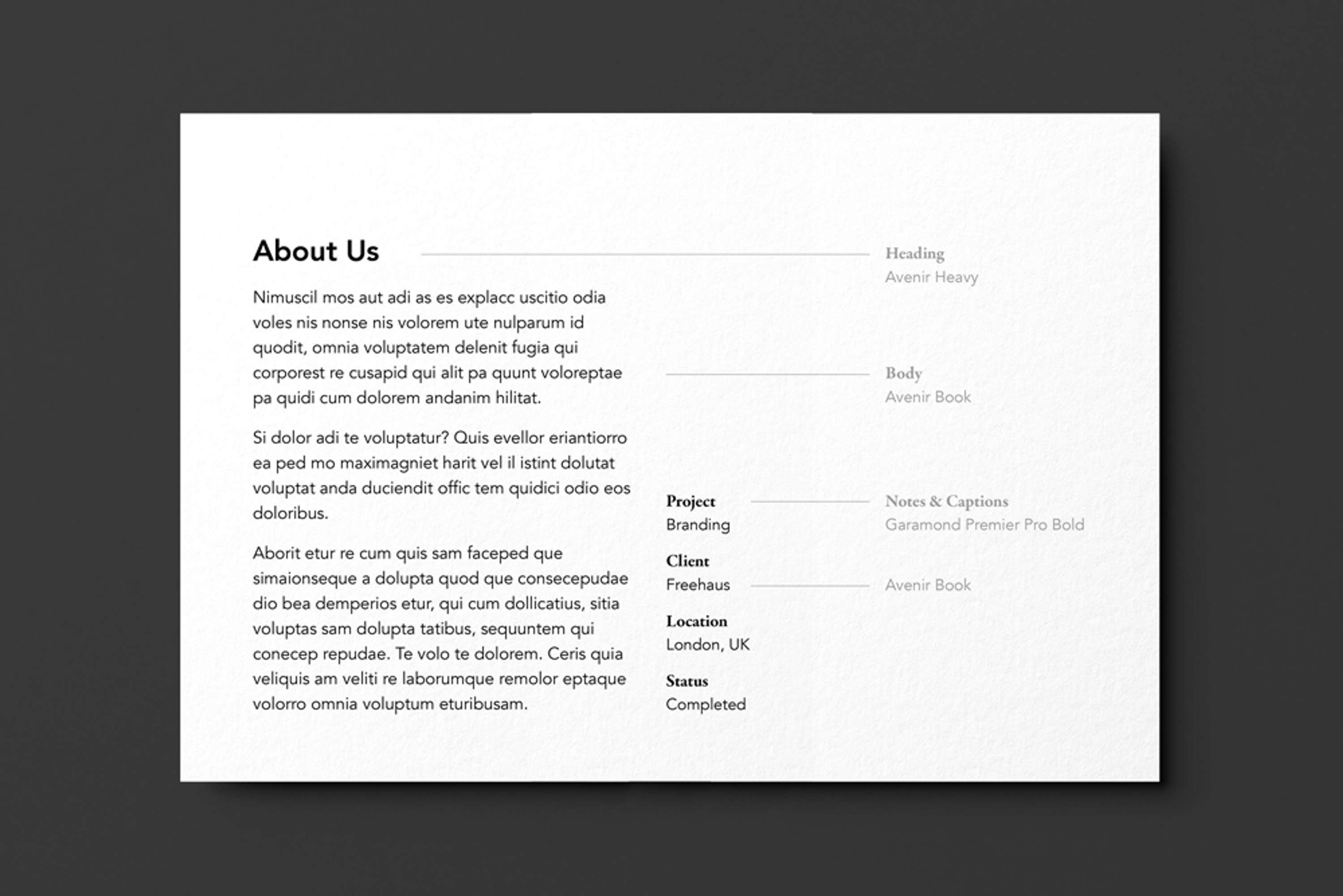 Freehaus – Working closely with the client to rebrand an architecture studio by Ana Beatriz Fernandes
