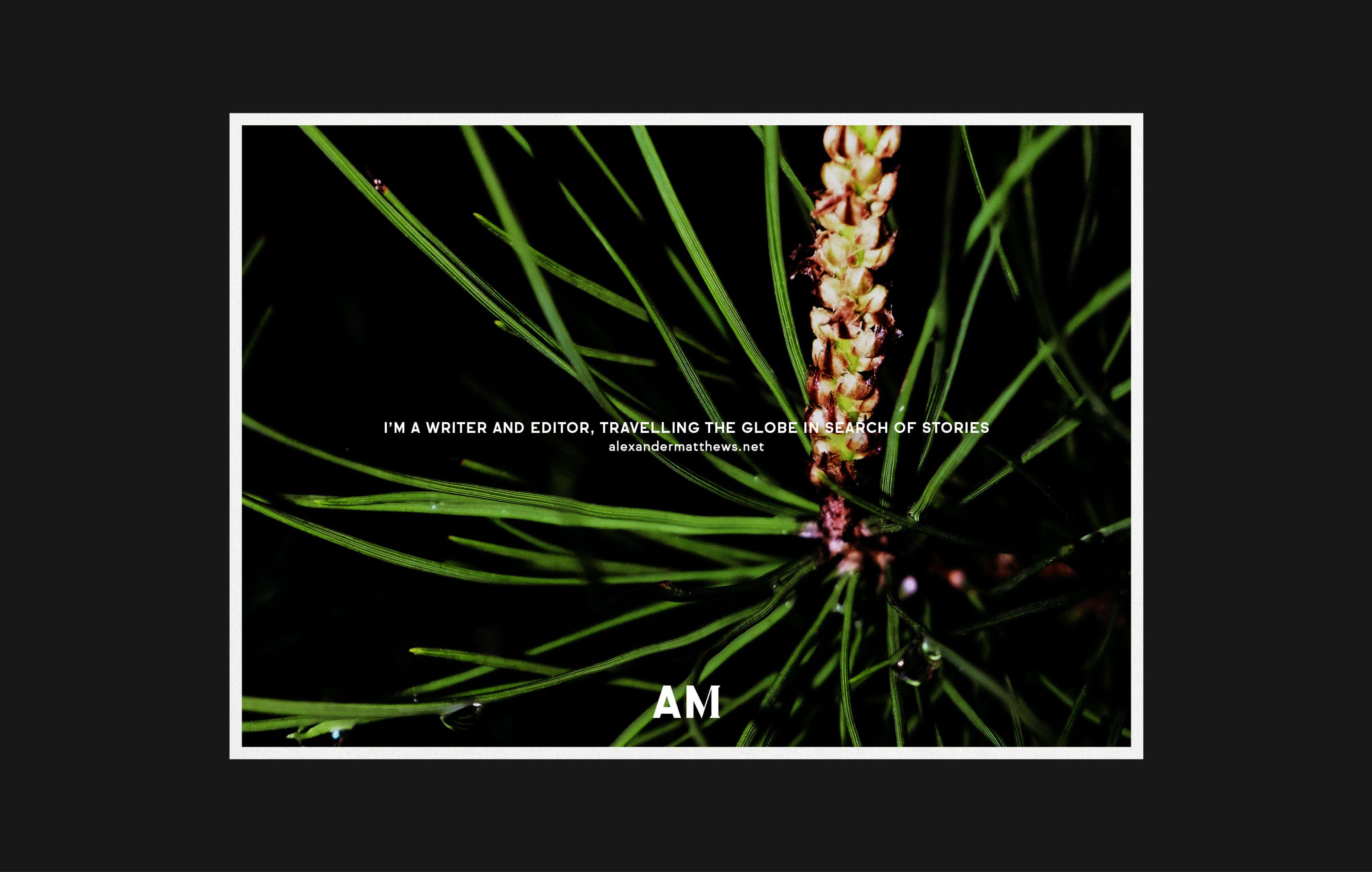 Alexander Matthews / Visual Identity by Catarina Pereira